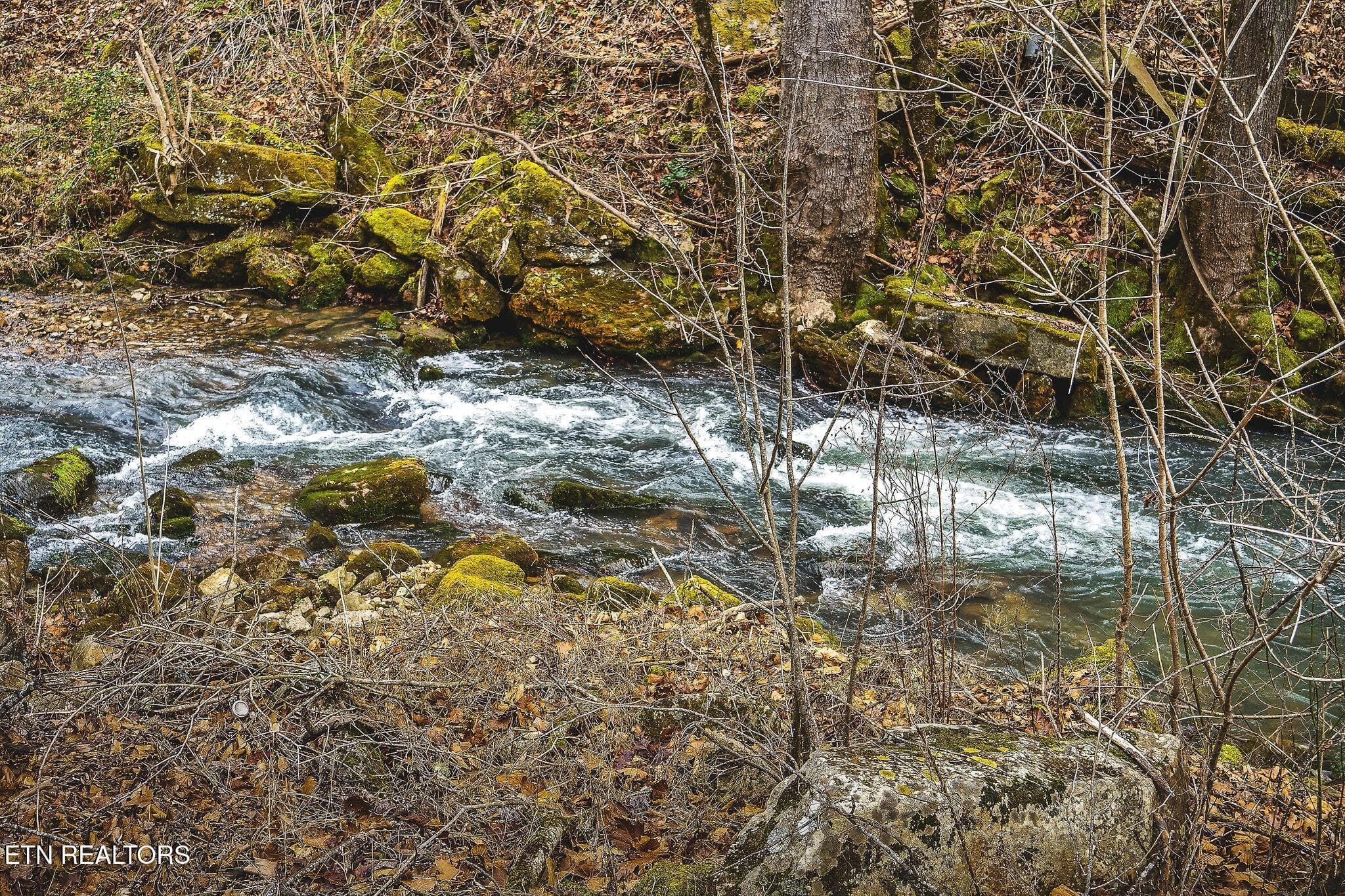 stocked river - 8450 Old Highway 28, Pikeville, TN 37367