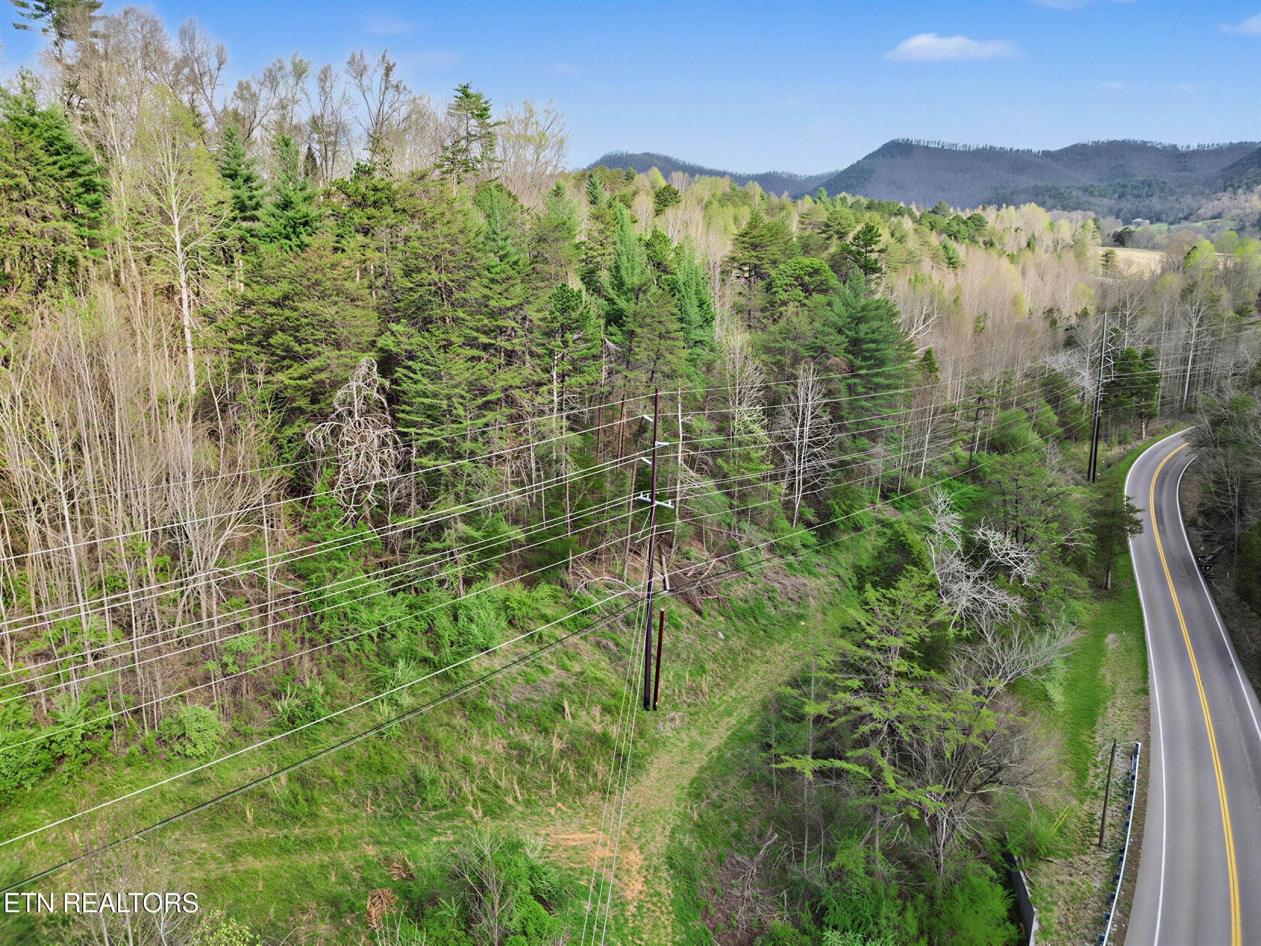 1_1 - Wears Valley Rd, Townsend, TN 37882