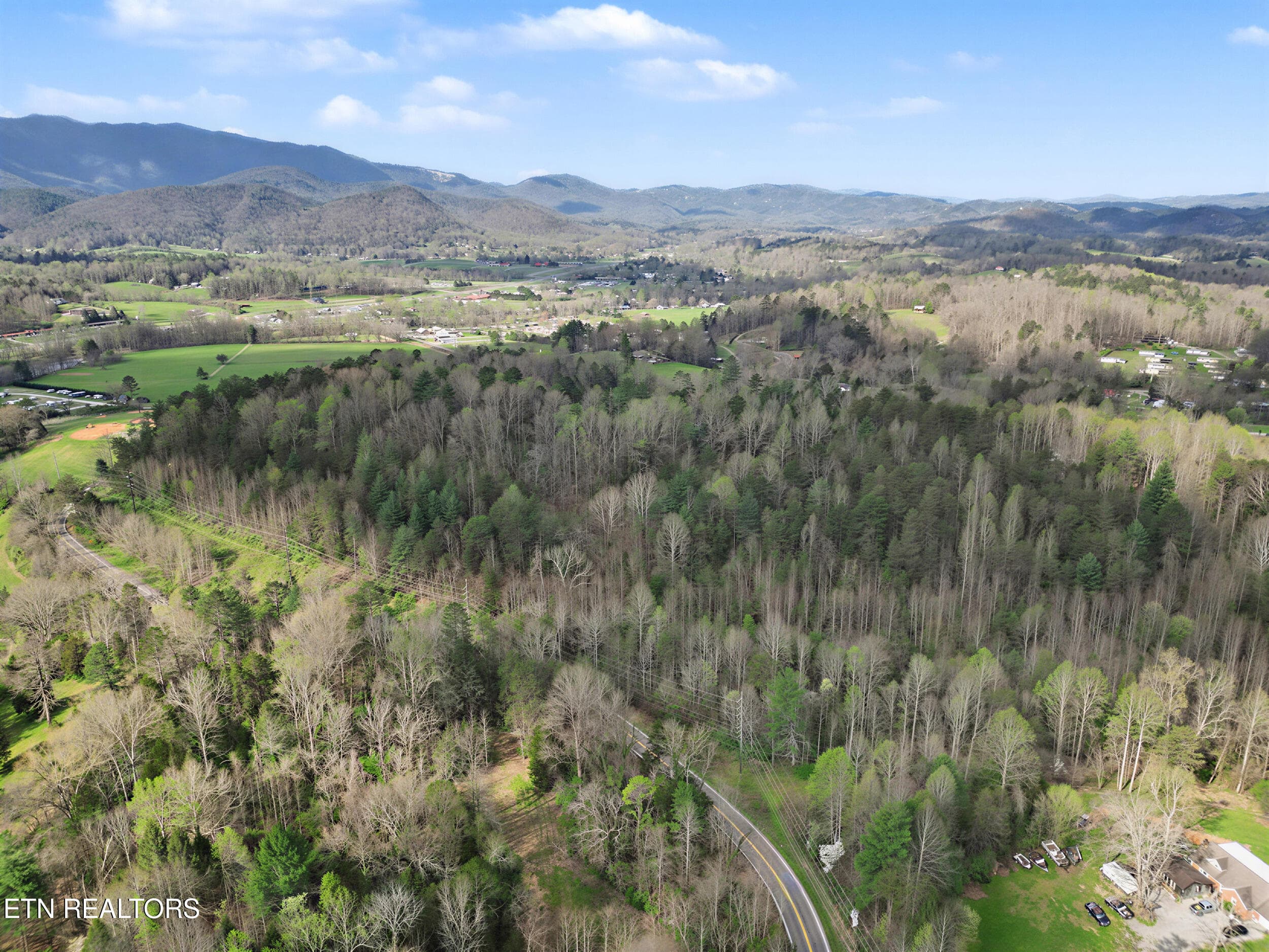 4_4 - Wears Valley Rd, Townsend, TN 37882