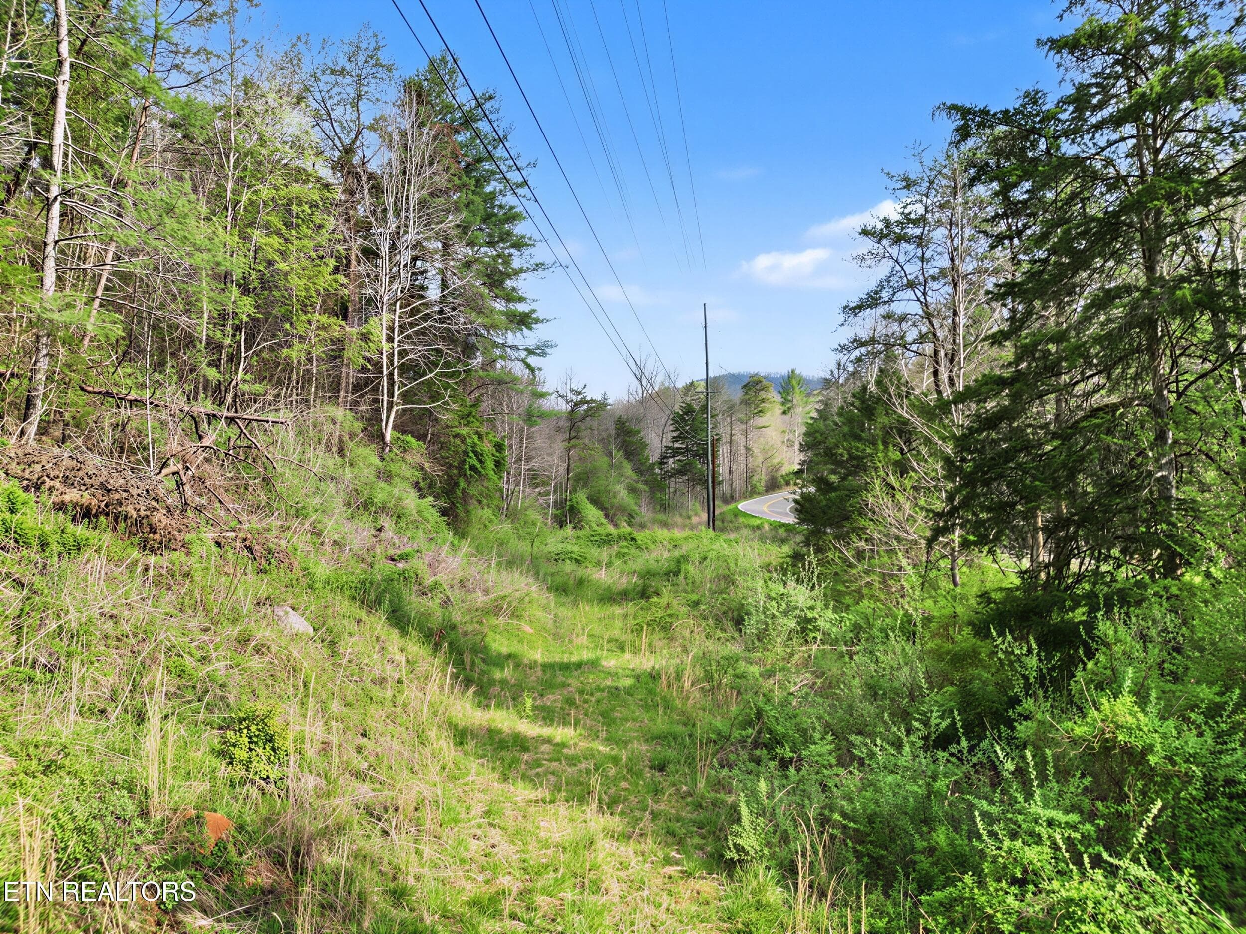 9_11 - Wears Valley Rd, Townsend, TN 37882