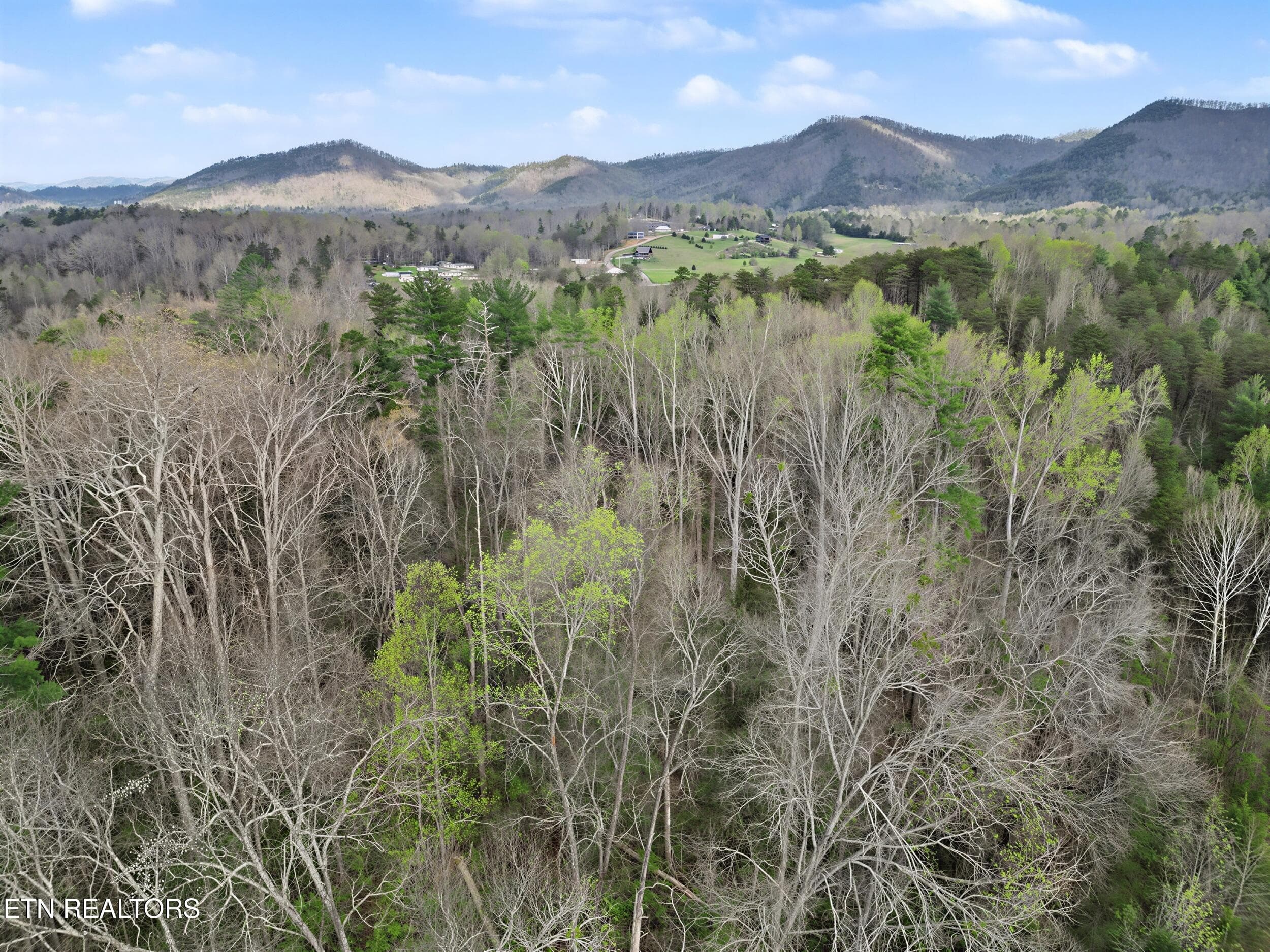 10_12 - Wears Valley Rd, Townsend, TN 37882