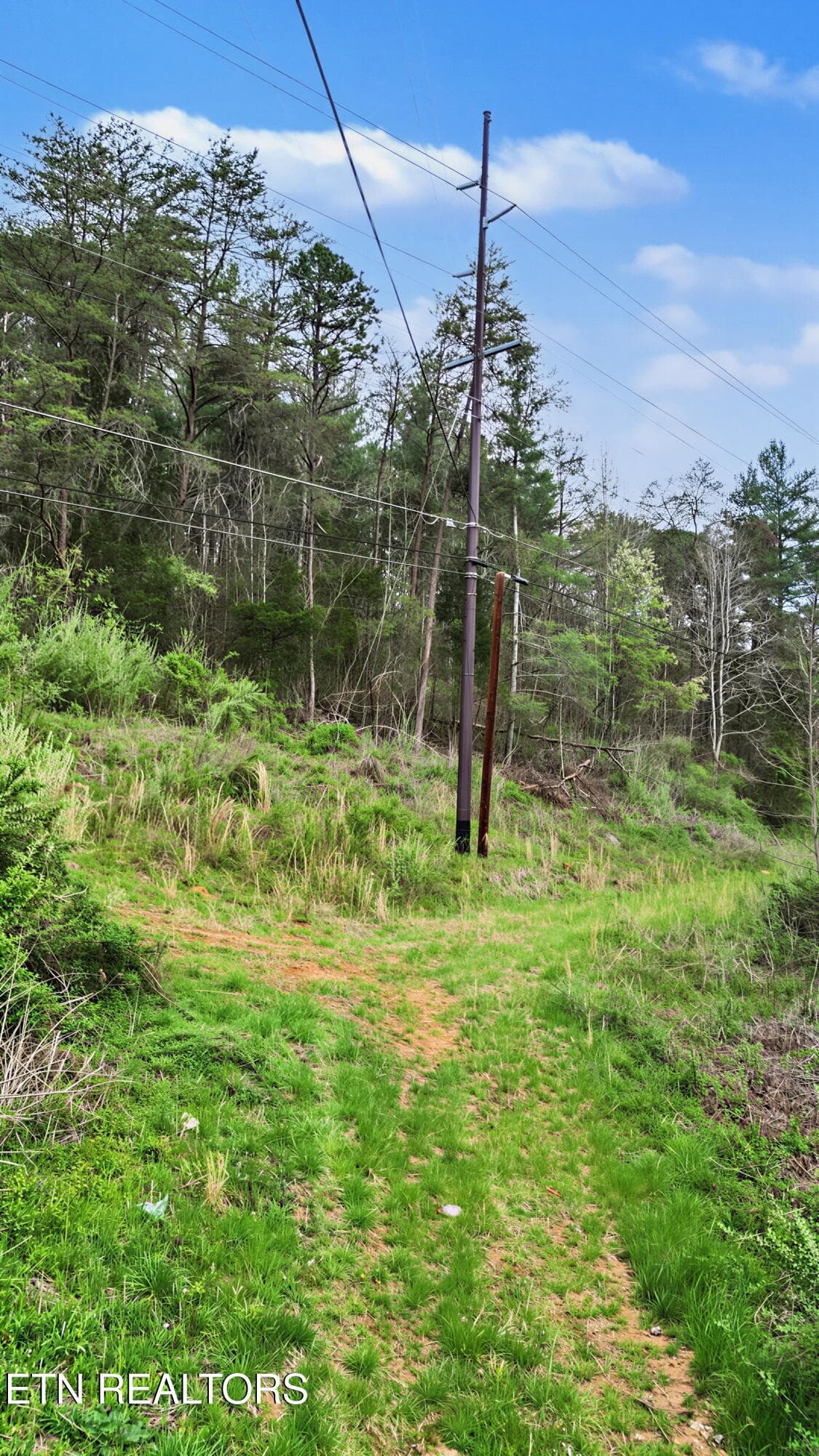 15_17 - Wears Valley Rd, Townsend, TN 37882