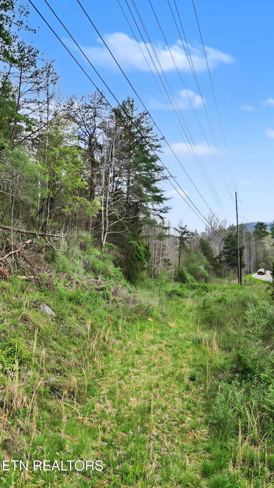 16_18 - Wears Valley Rd, Townsend, TN 37882