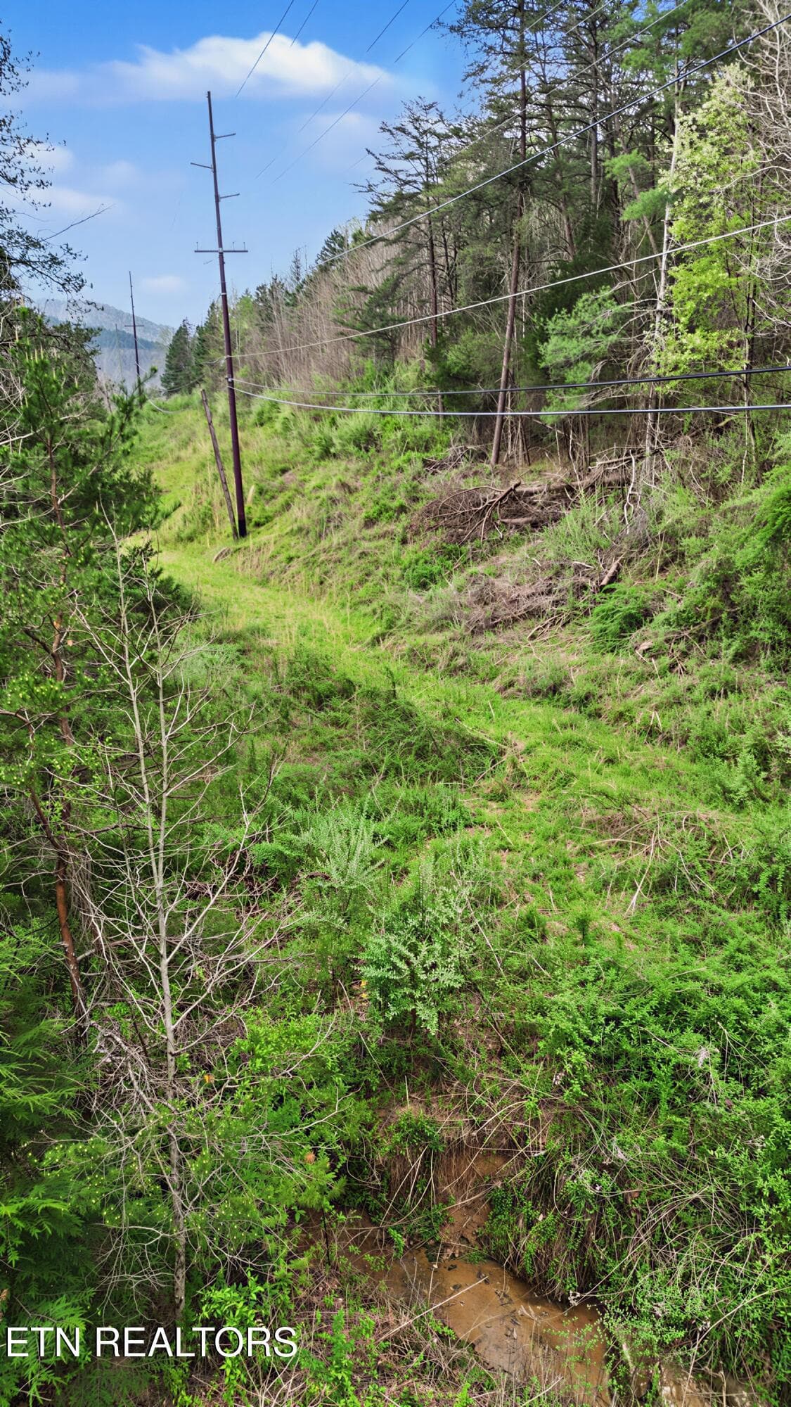 20_22 - Wears Valley Rd, Townsend, TN 37882