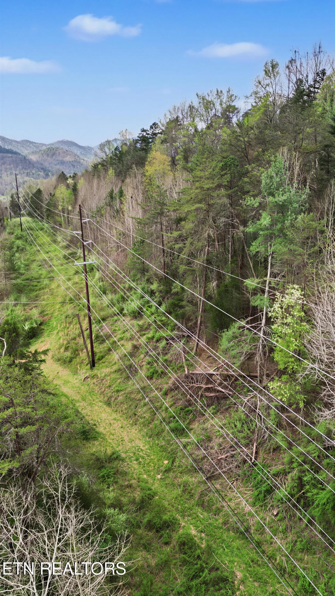 21_23 - Wears Valley Rd, Townsend, TN 37882
