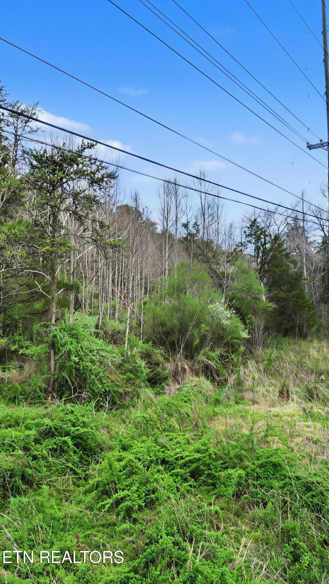 26_28 - Wears Valley Rd, Townsend, TN 37882