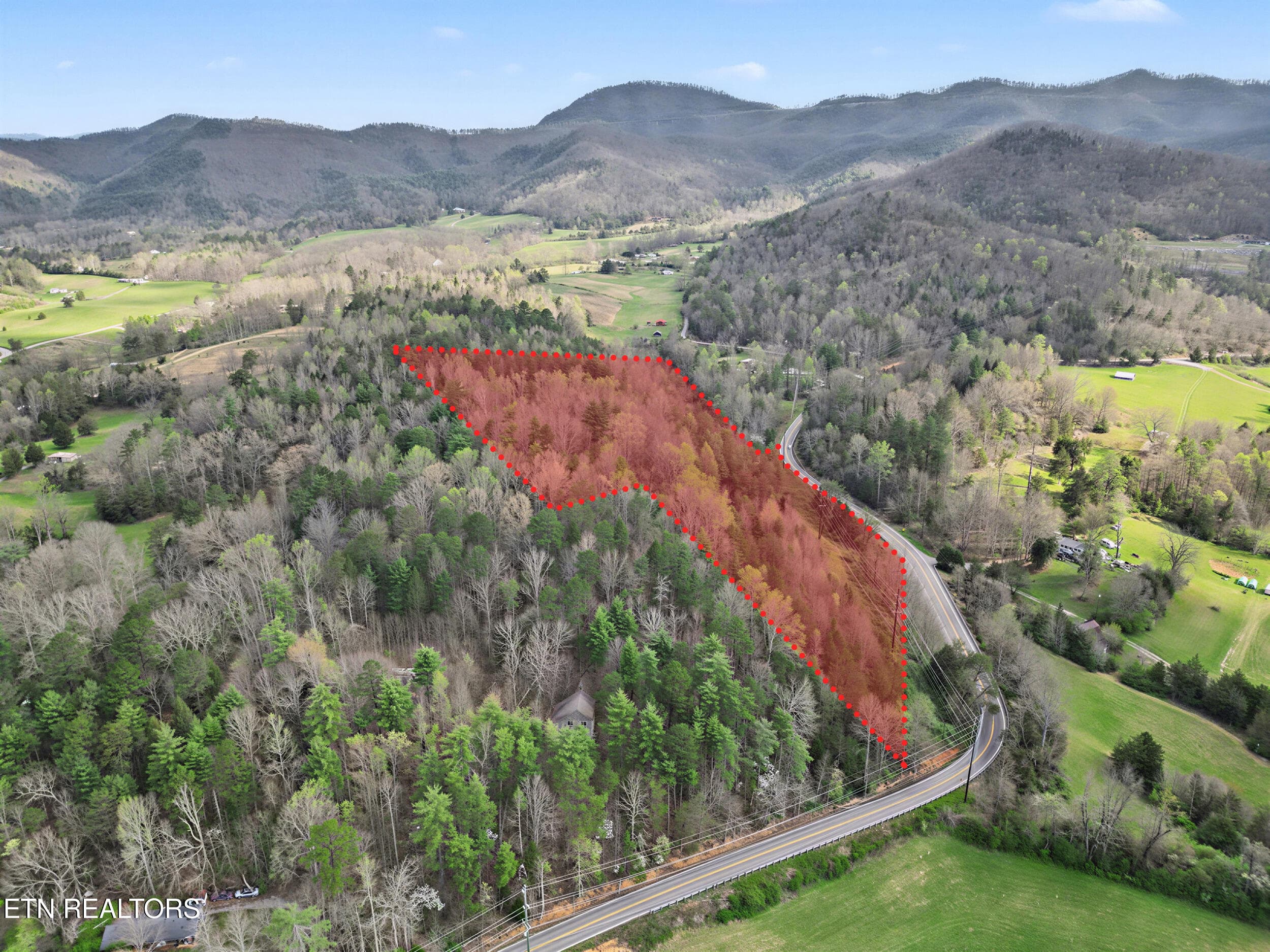 29_property line 3 - Wears Valley Rd, Townsend, TN 37882
