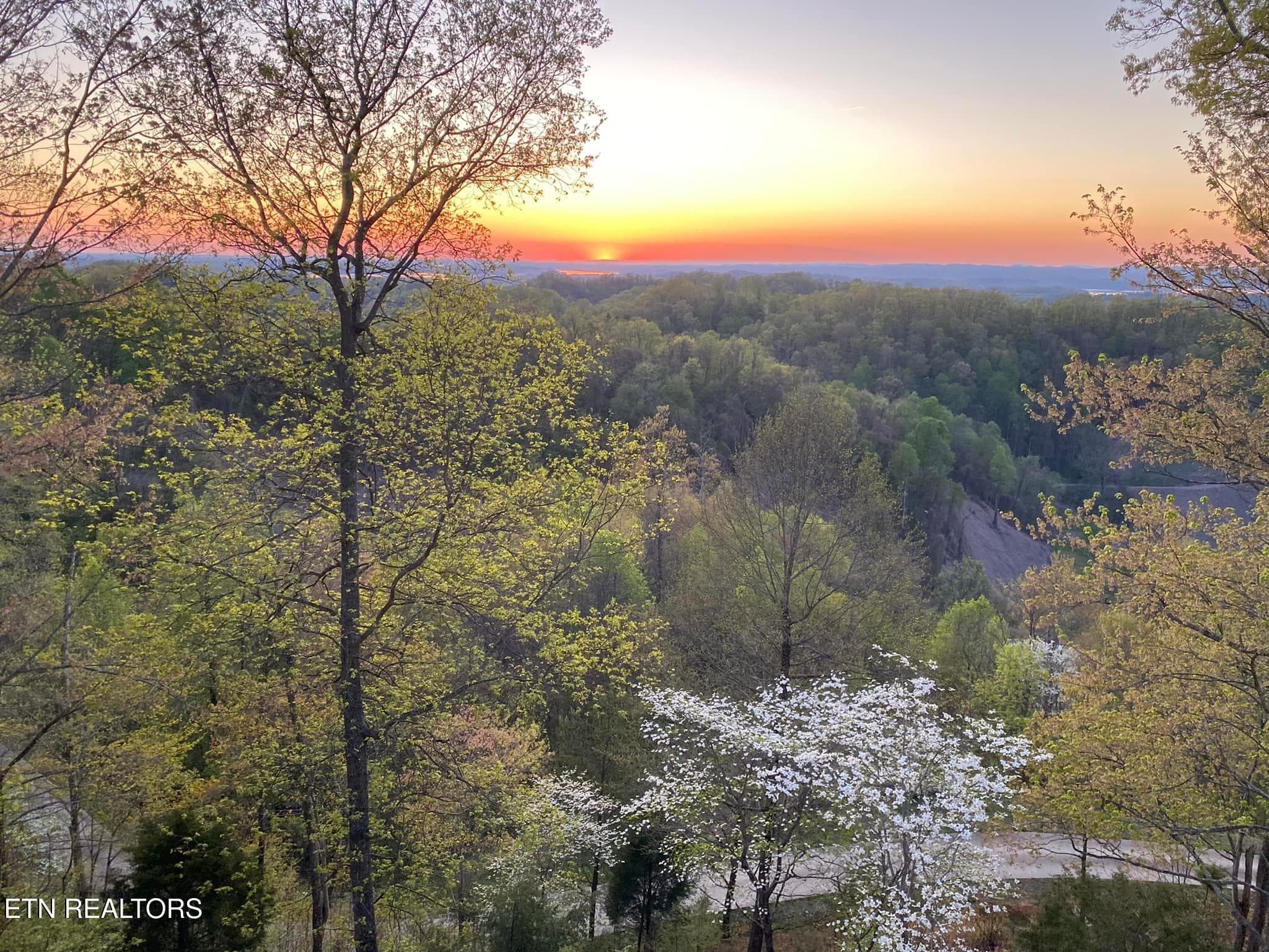 DVE Sunset Spring - 2278 Lower Rinehart Rd, Dandridge, TN 37725