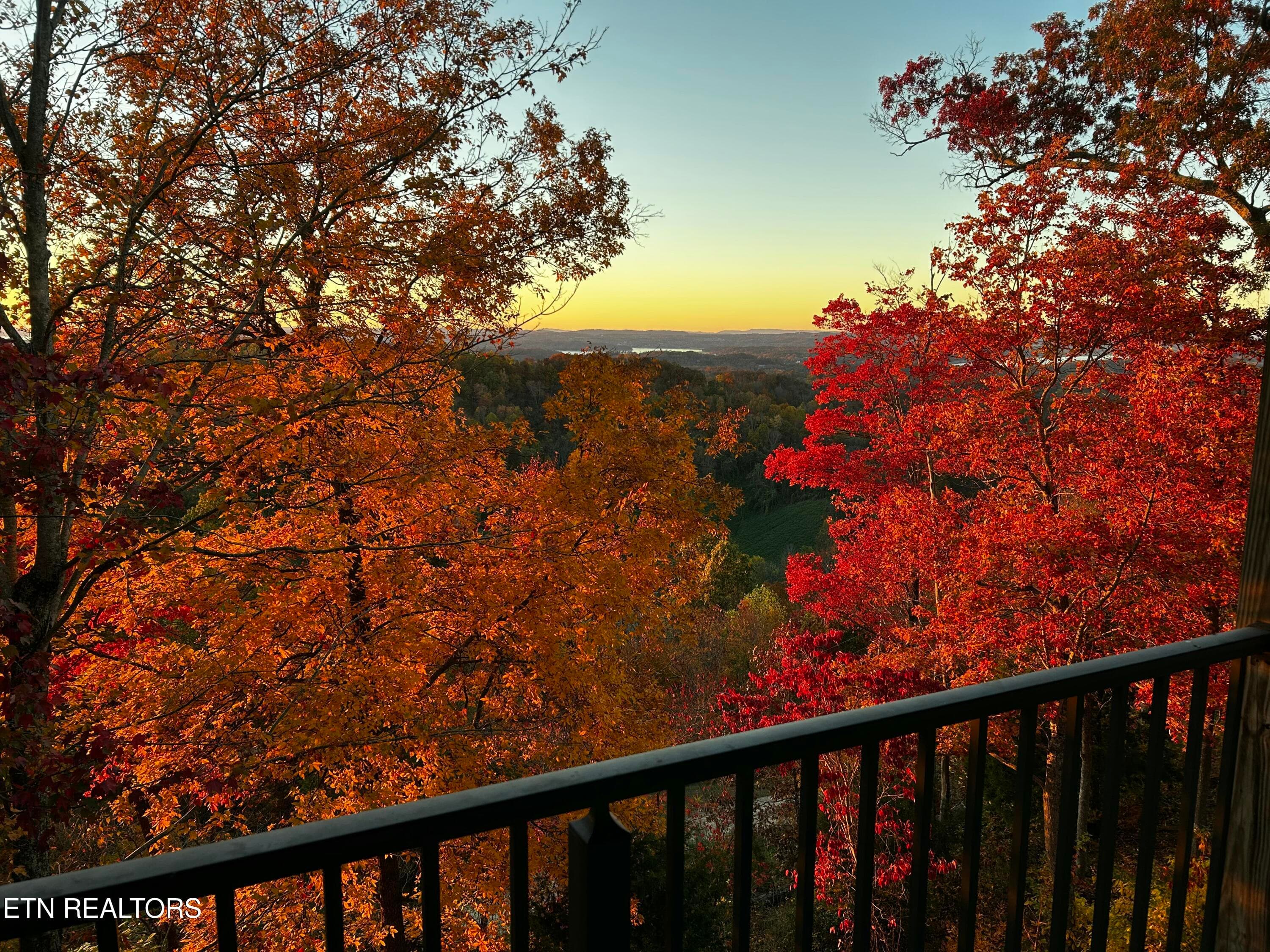 DVE Fall West 4 - 2278 Lower Rinehart Rd, Dandridge, TN 37725