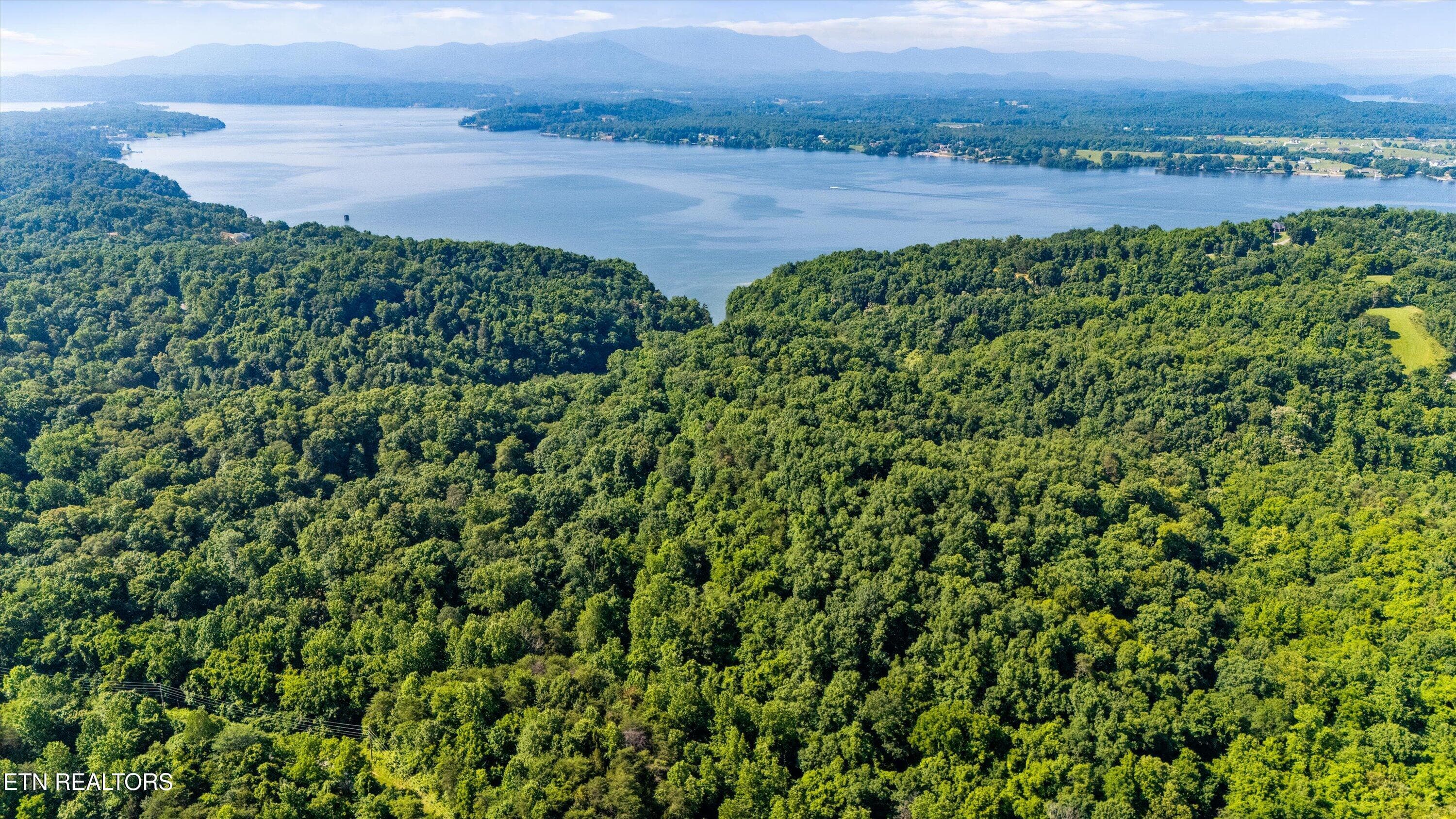 03-Fortunato Dr03 - Fortunato Drive, Baneberry, TN 37890