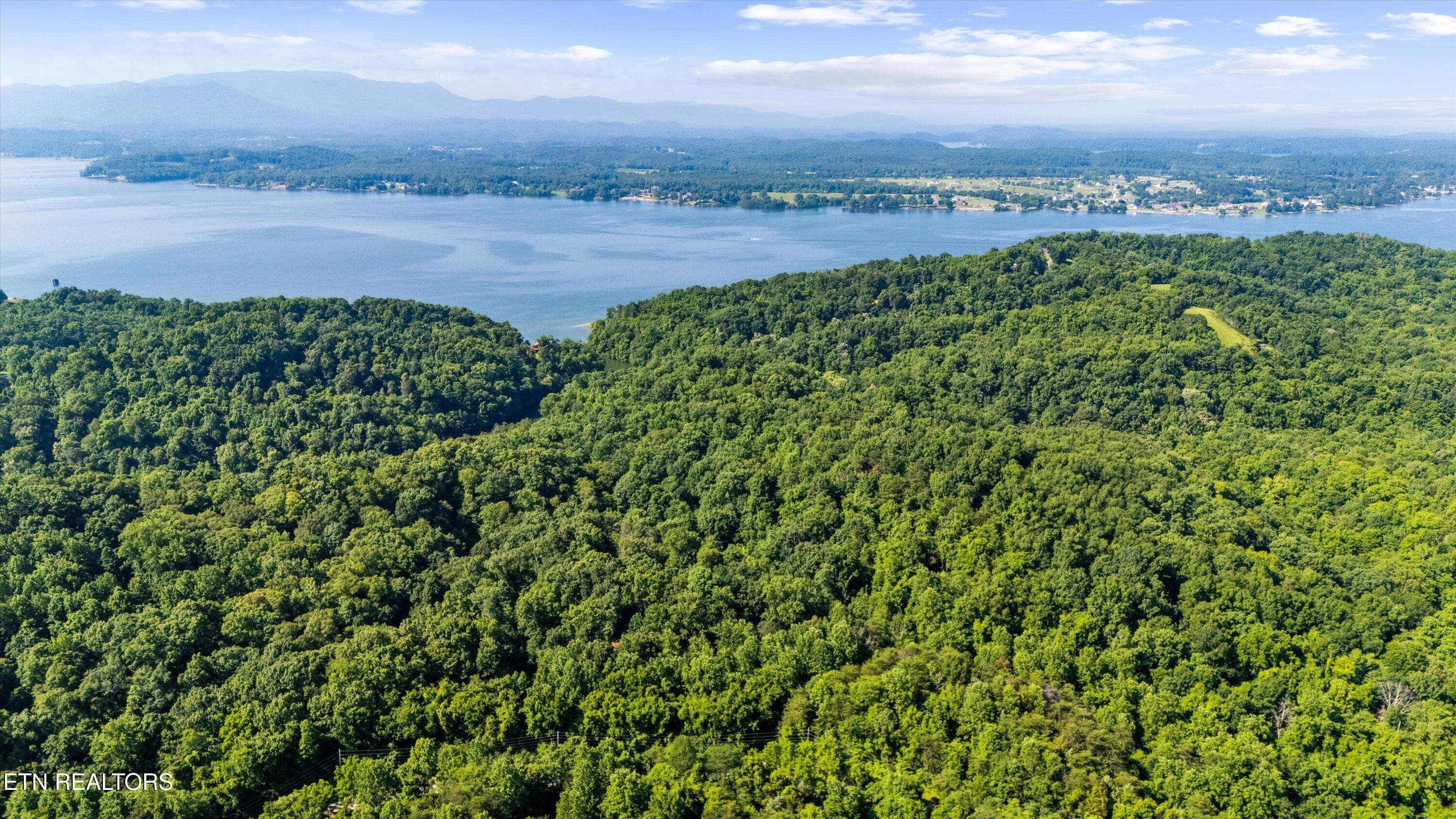 04-Fortunato Dr02 - Fortunato Drive, Baneberry, TN 37890