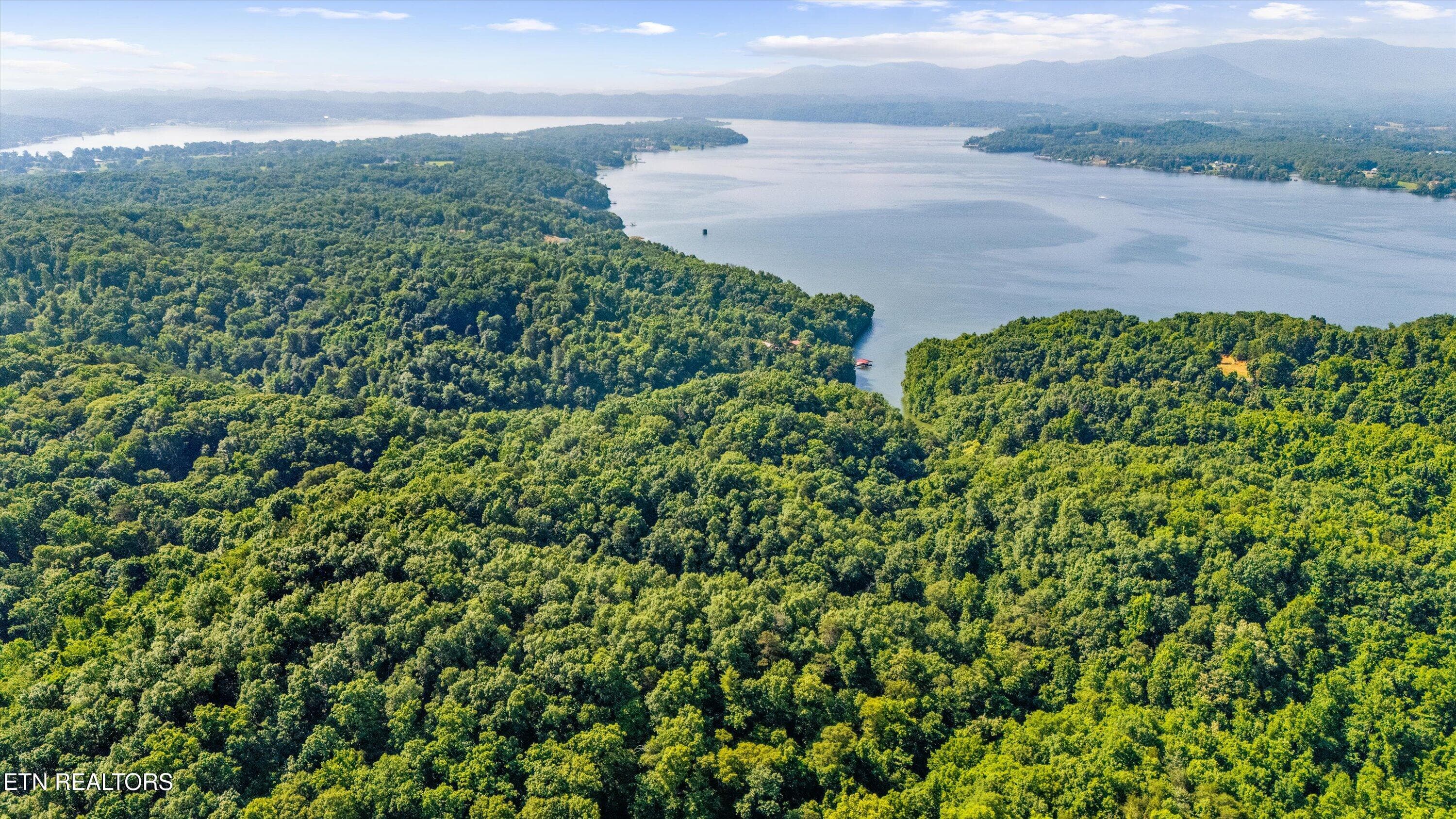 05-Fortunato Dr04 - Fortunato Drive, Baneberry, TN 37890