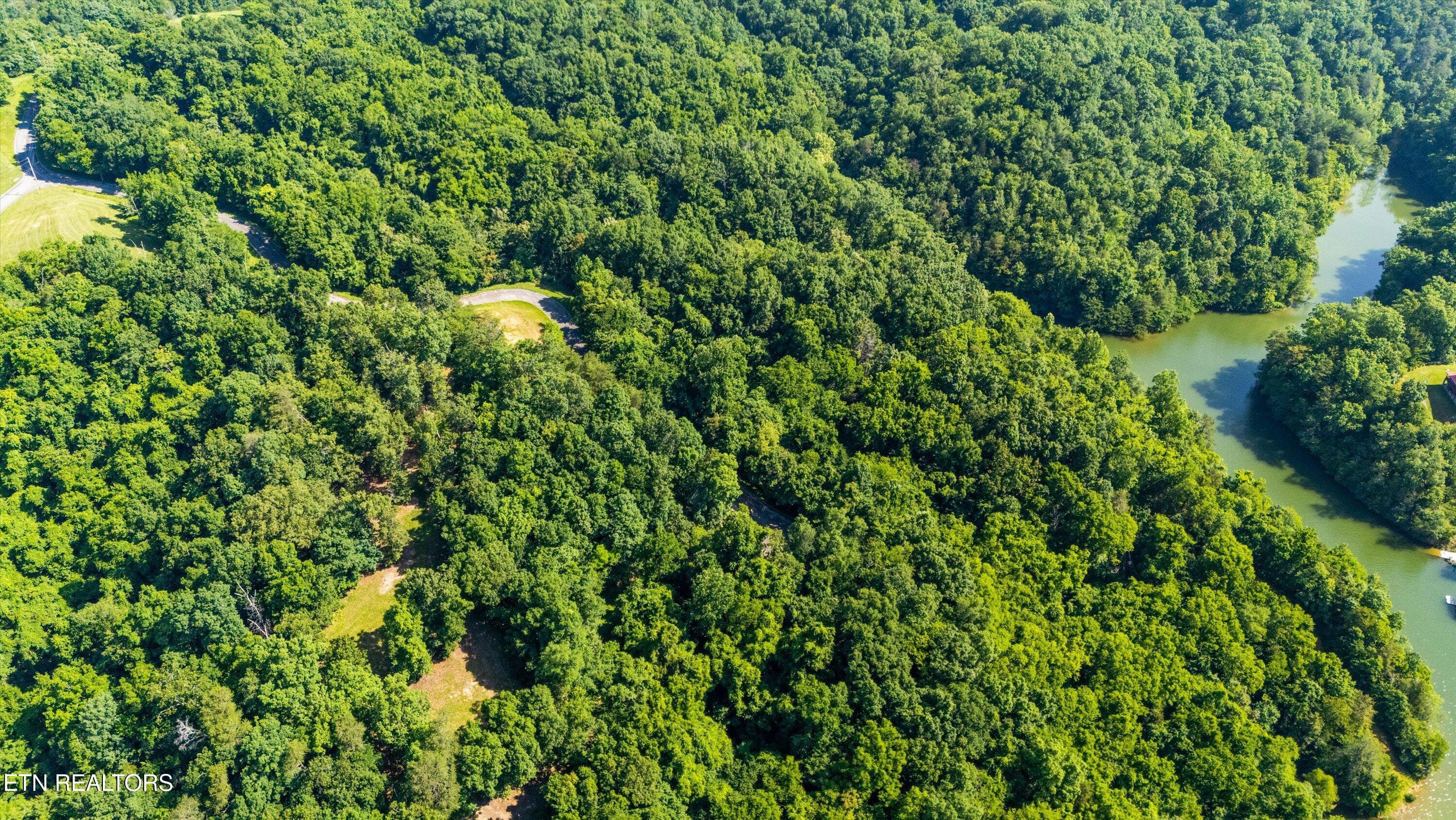 09-Fortunato Dr07 - Fortunato Drive, Baneberry, TN 37890