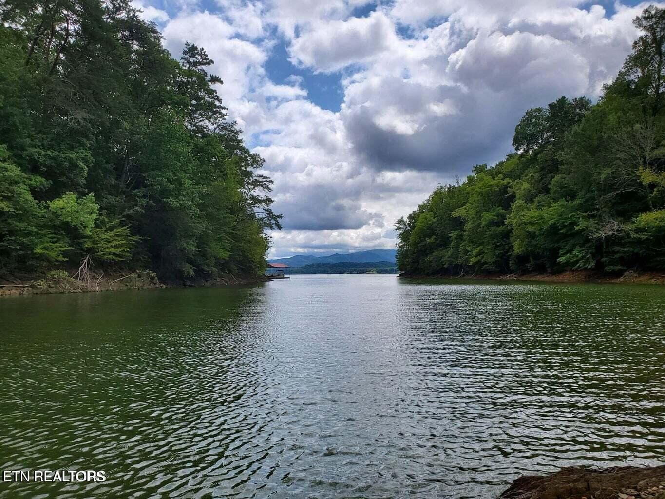 Fortunato Drive, Baneberry, TN 37890