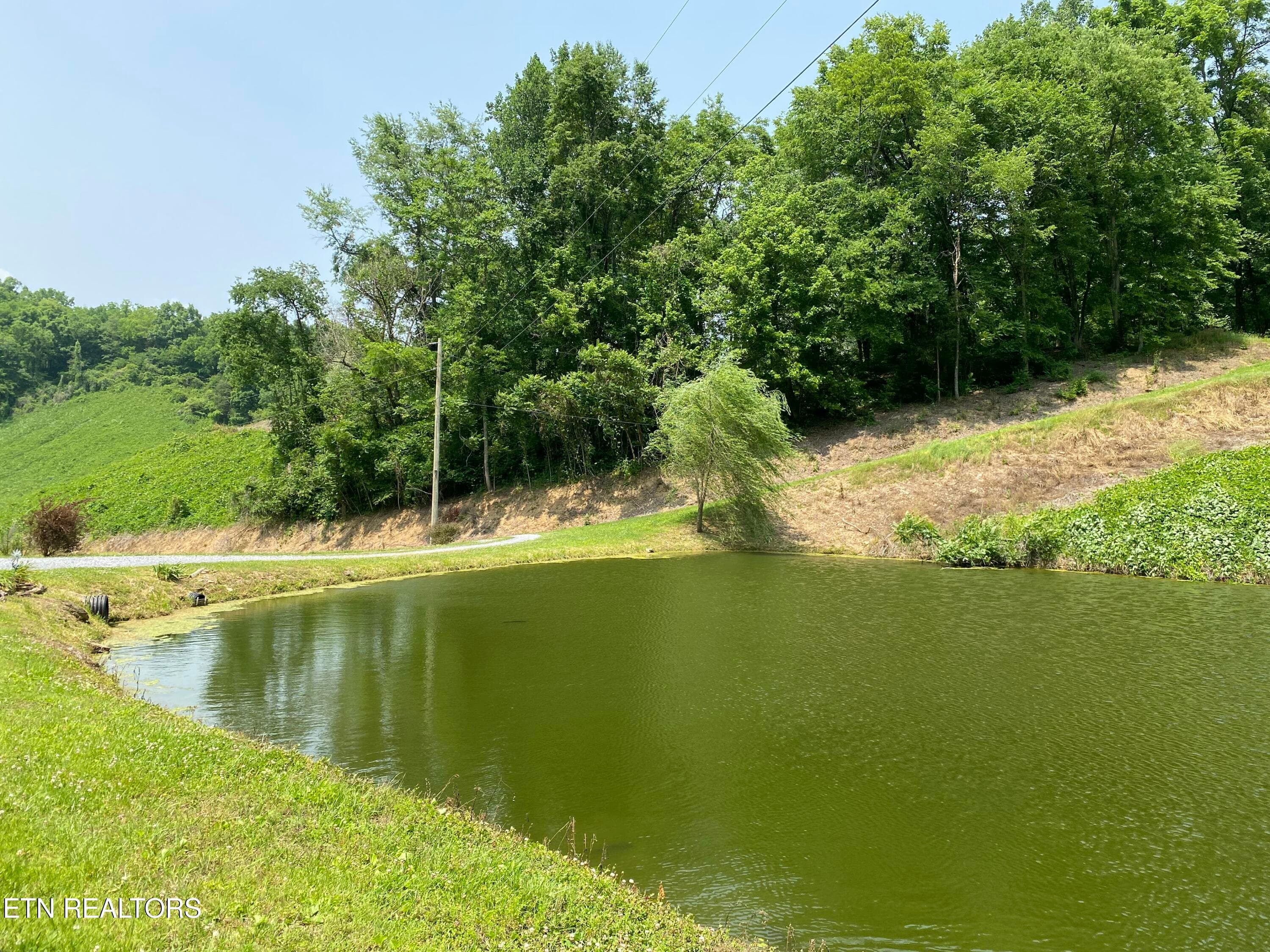 DVE Pond Willow - 2278 Lower Rinehart Rd, Dandridge, TN 37725