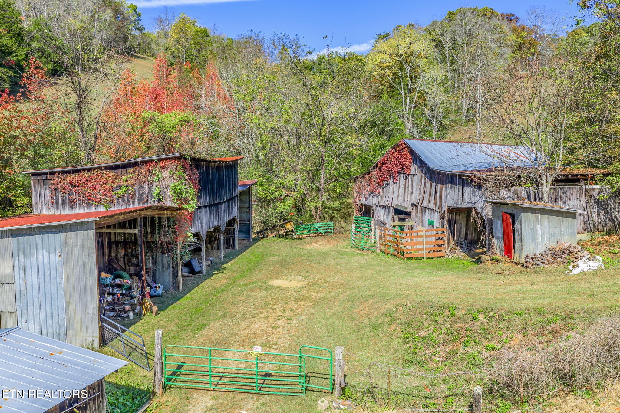 66-web-or-mls-858 N. Shiloh Road-64 - 858 N Shiloh Rd, Seymour, TN 37865