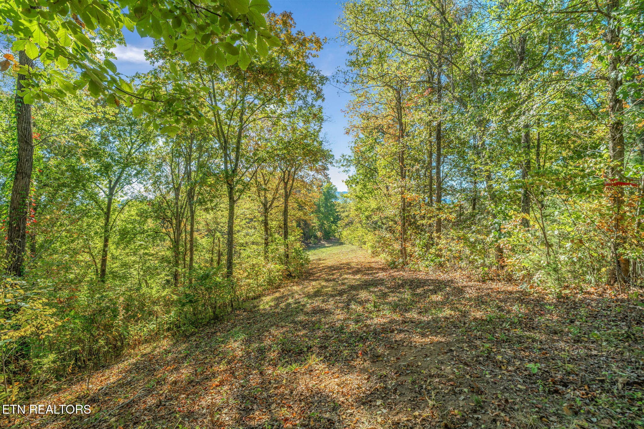 25-web-or-mls-858 N. Shiloh Road-17 - 858 N Shiloh Rd, Seymour, TN 37865