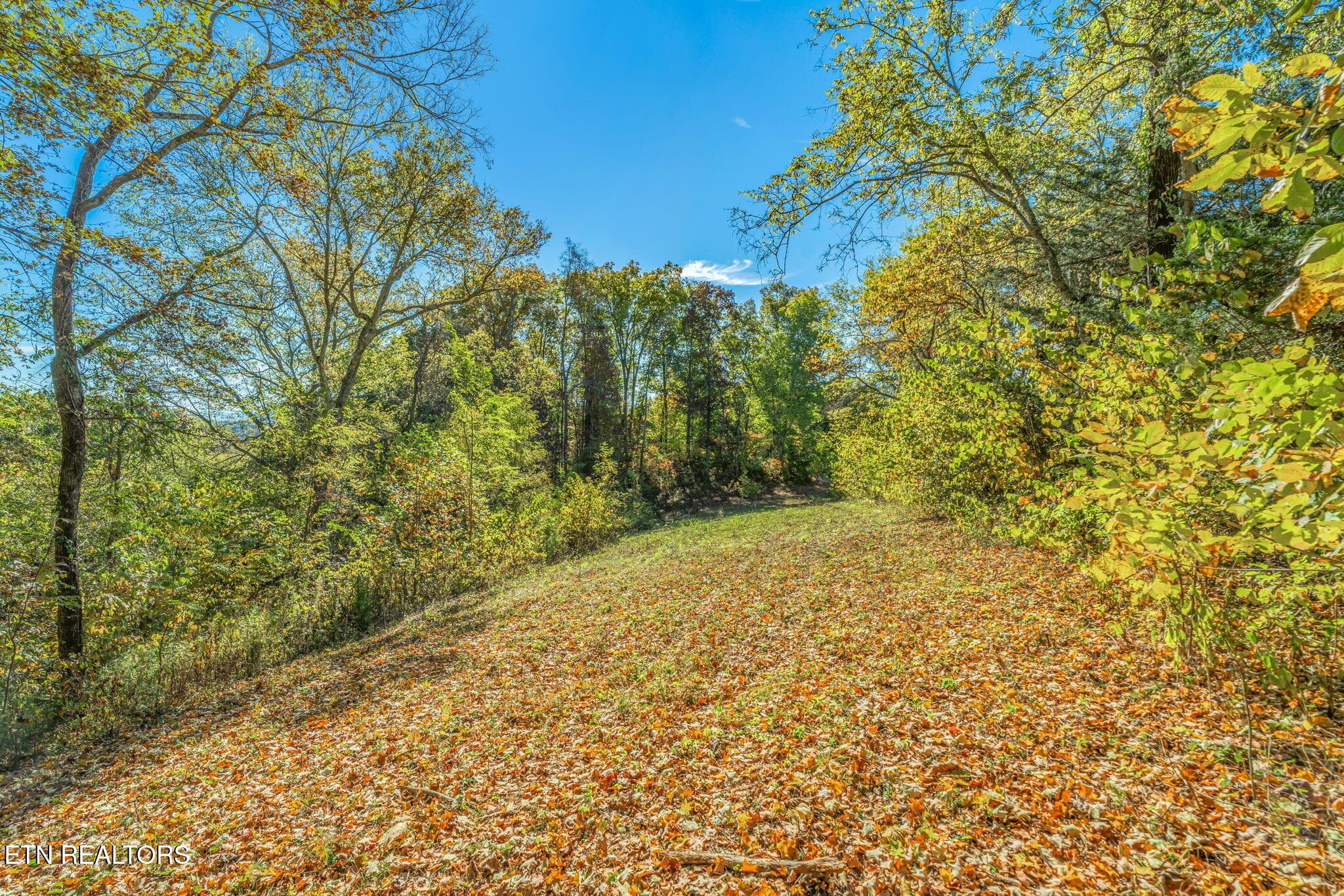 26-web-or-mls-858 N. Shiloh Road-18 - 858 N Shiloh Rd, Seymour, TN 37865