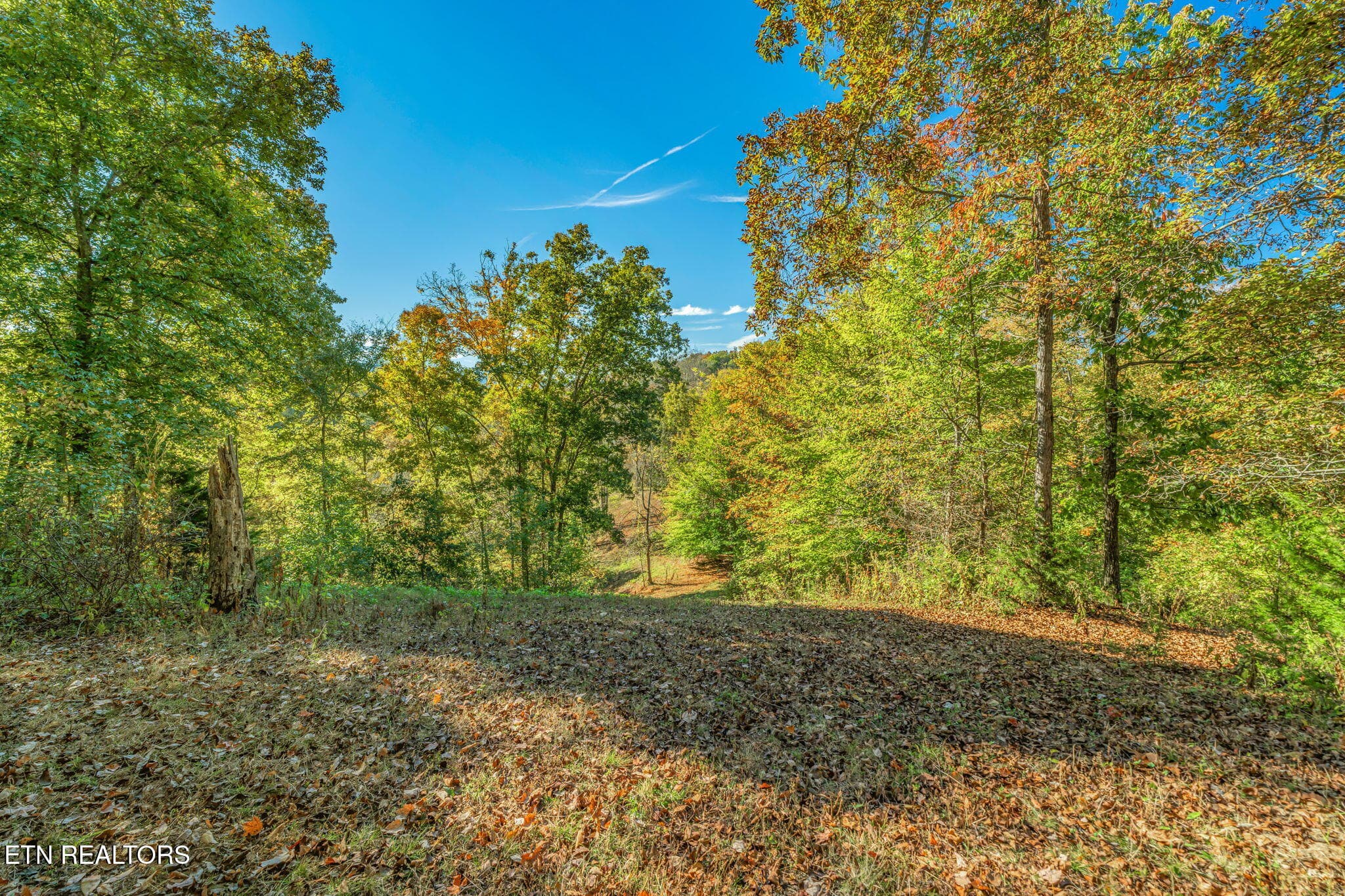 27-web-or-mls-858 N. Shiloh Road-19 - 858 N Shiloh Rd, Seymour, TN 37865