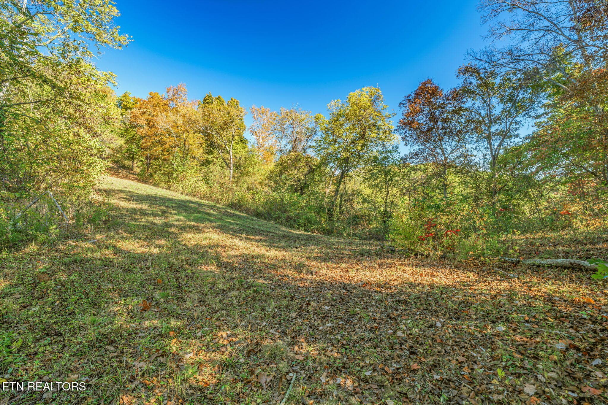 28-web-or-mls-858 N. Shiloh Road-20 - 858 N Shiloh Rd, Seymour, TN 37865