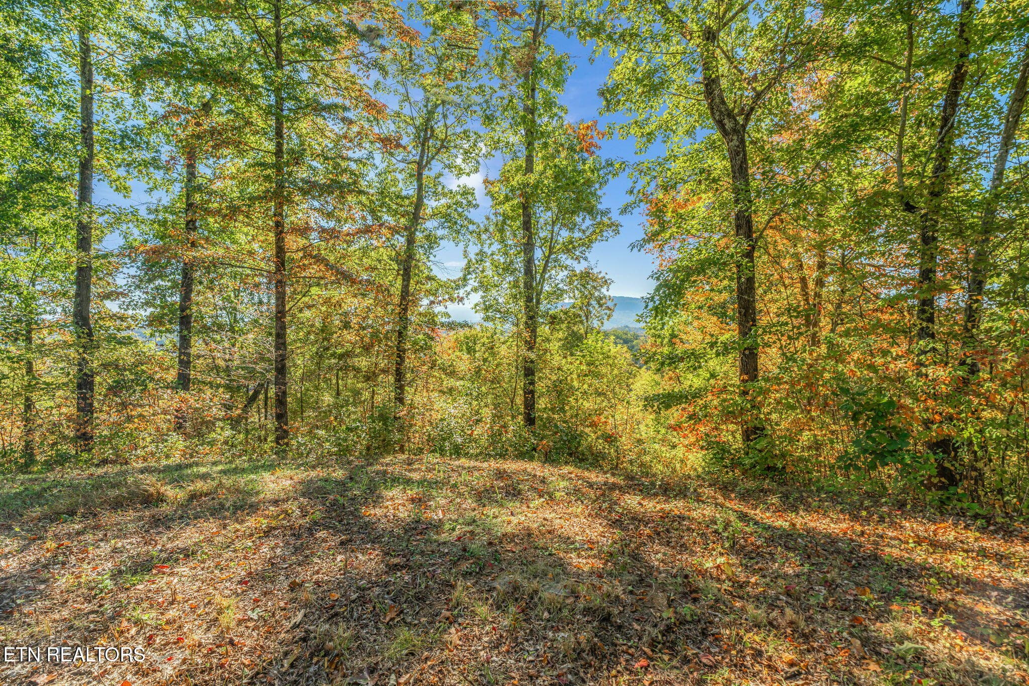 29-web-or-mls-858 N. Shiloh Road-21 - 858 N Shiloh Rd, Seymour, TN 37865