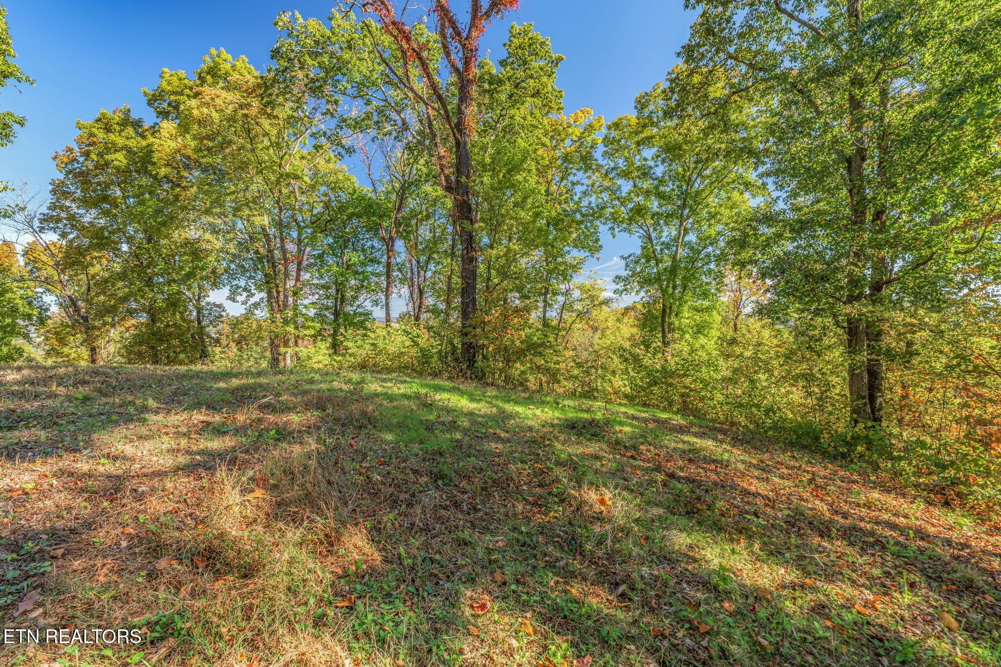 30-web-or-mls-858 N. Shiloh Road-22 - 858 N Shiloh Rd, Seymour, TN 37865