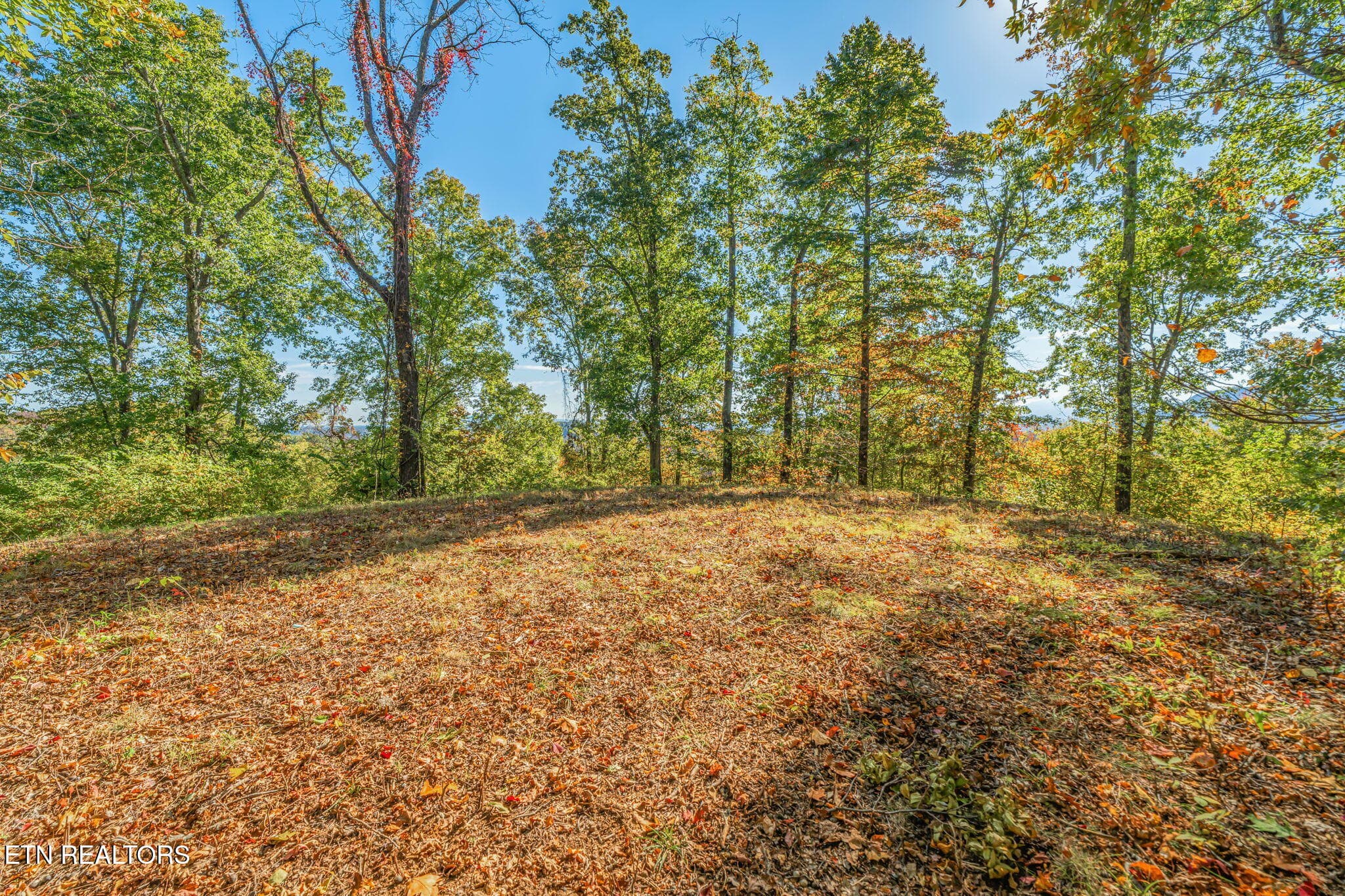 32-web-or-mls-858 N. Shiloh Road-24 - 858 N Shiloh Rd, Seymour, TN 37865