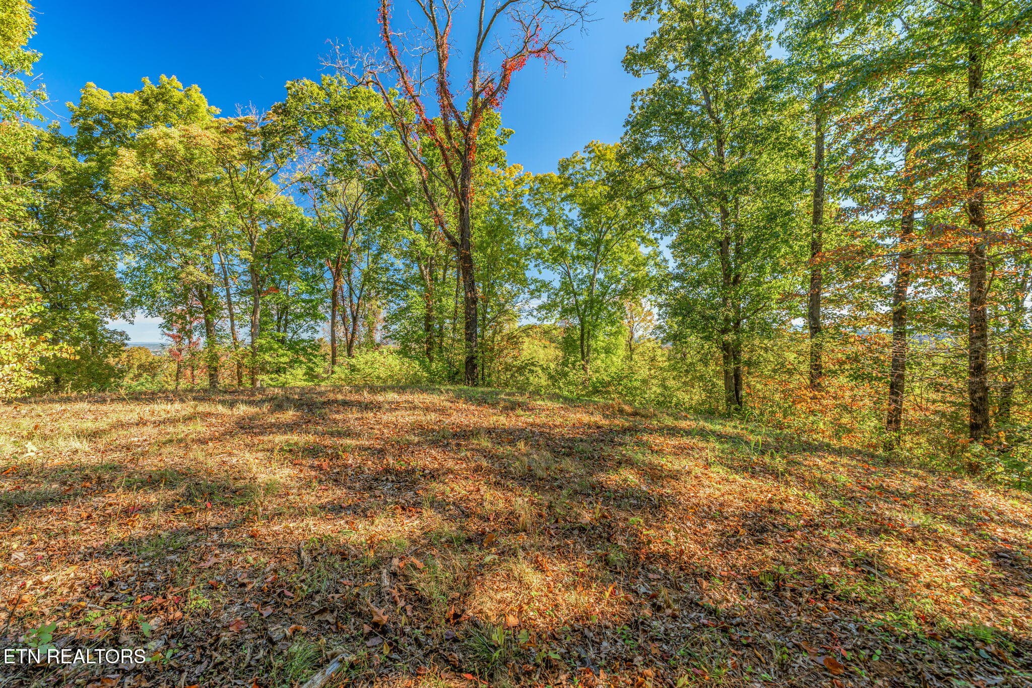 33-web-or-mls-858 N. Shiloh Road-25 - 858 N Shiloh Rd, Seymour, TN 37865