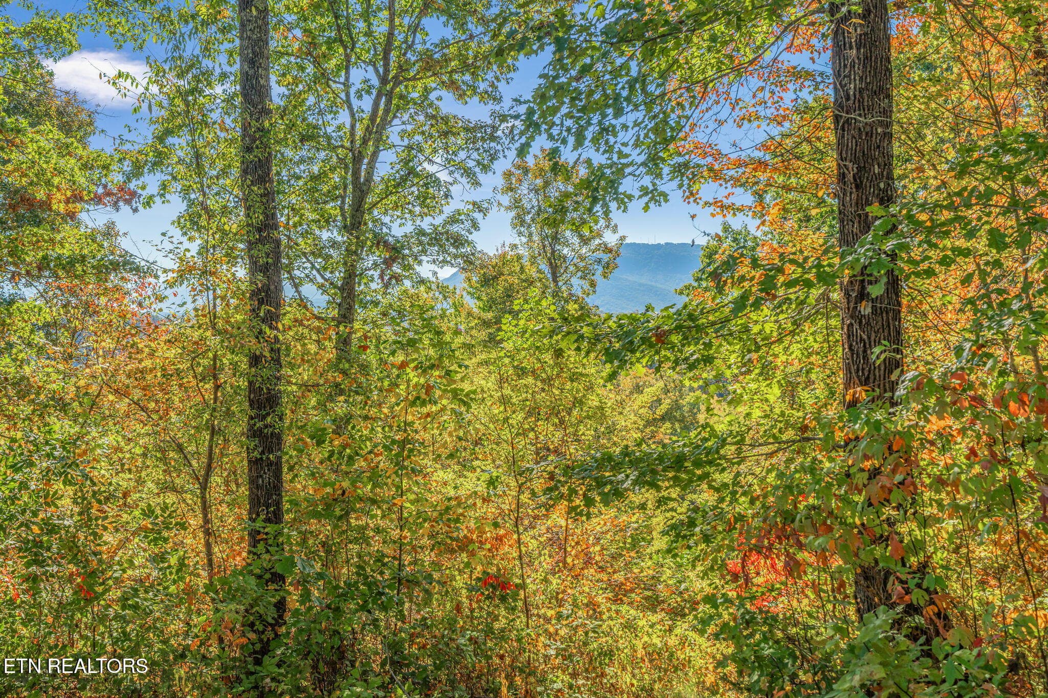 34-web-or-mls-858 N. Shiloh Road-26 - 858 N Shiloh Rd, Seymour, TN 37865