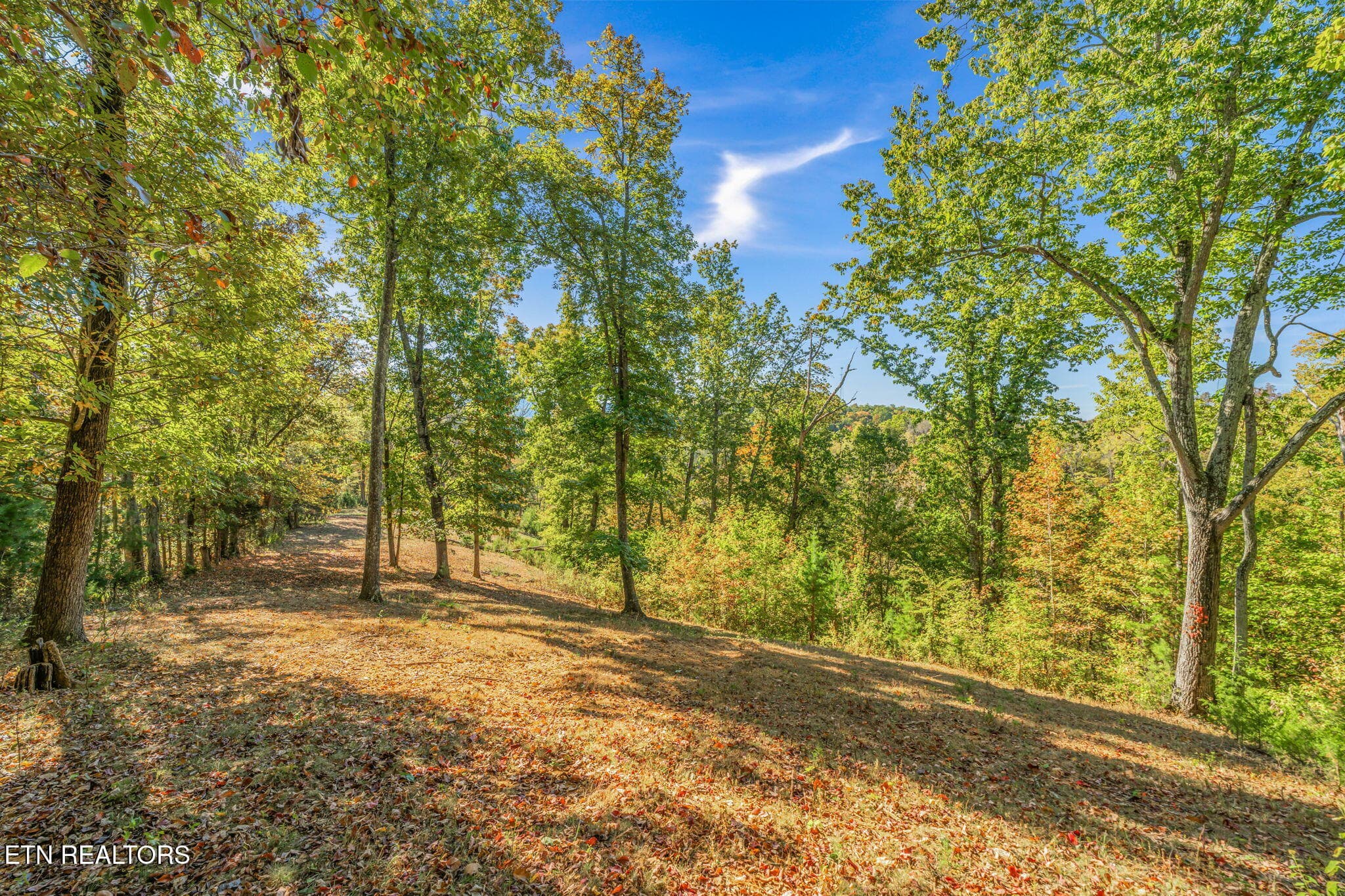 36-web-or-mls-858 N. Shiloh Road-28 - 858 N Shiloh Rd, Seymour, TN 37865