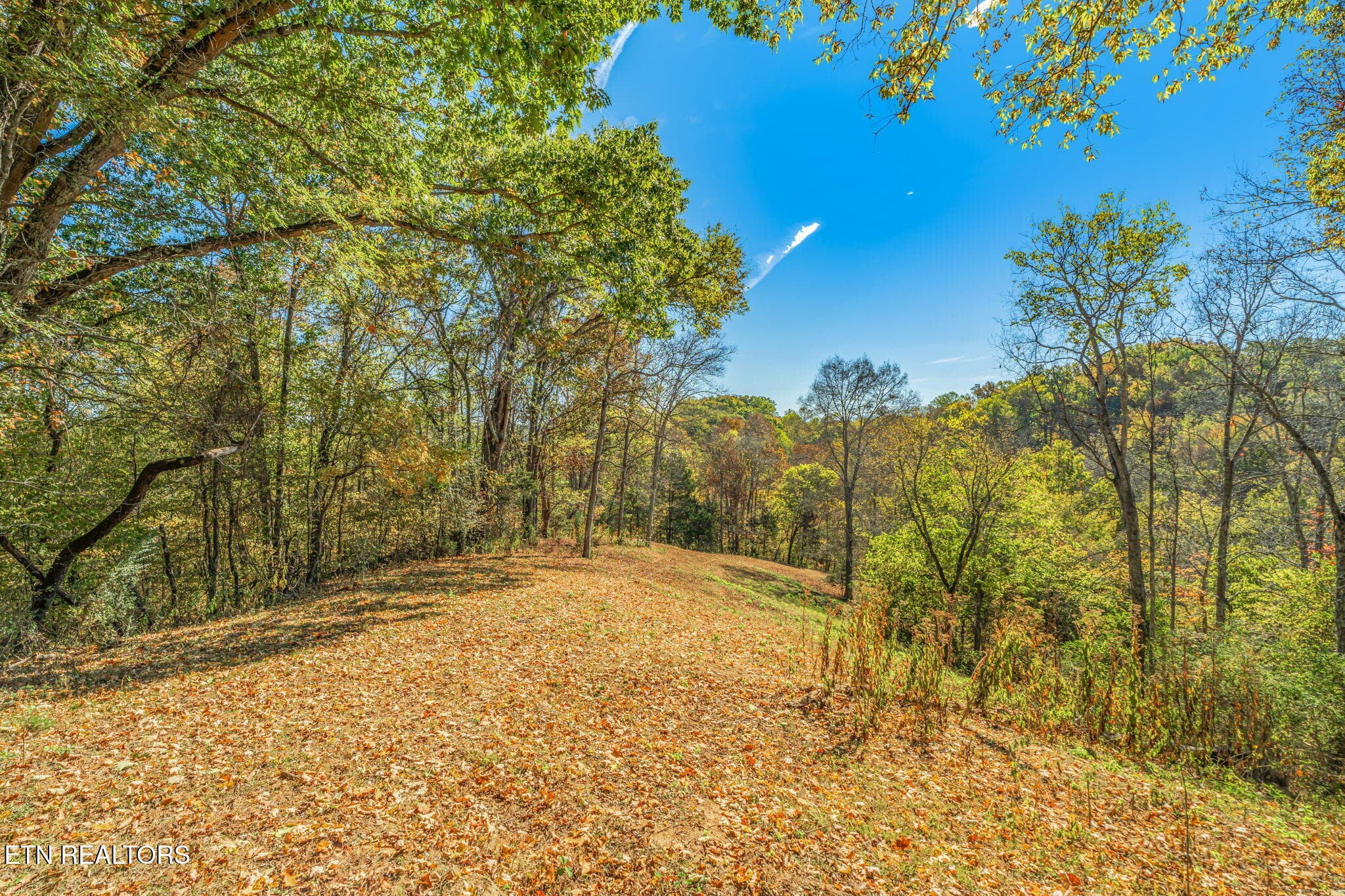 39-web-or-mls-858 N. Shiloh Road-31 - 858 N Shiloh Rd, Seymour, TN 37865