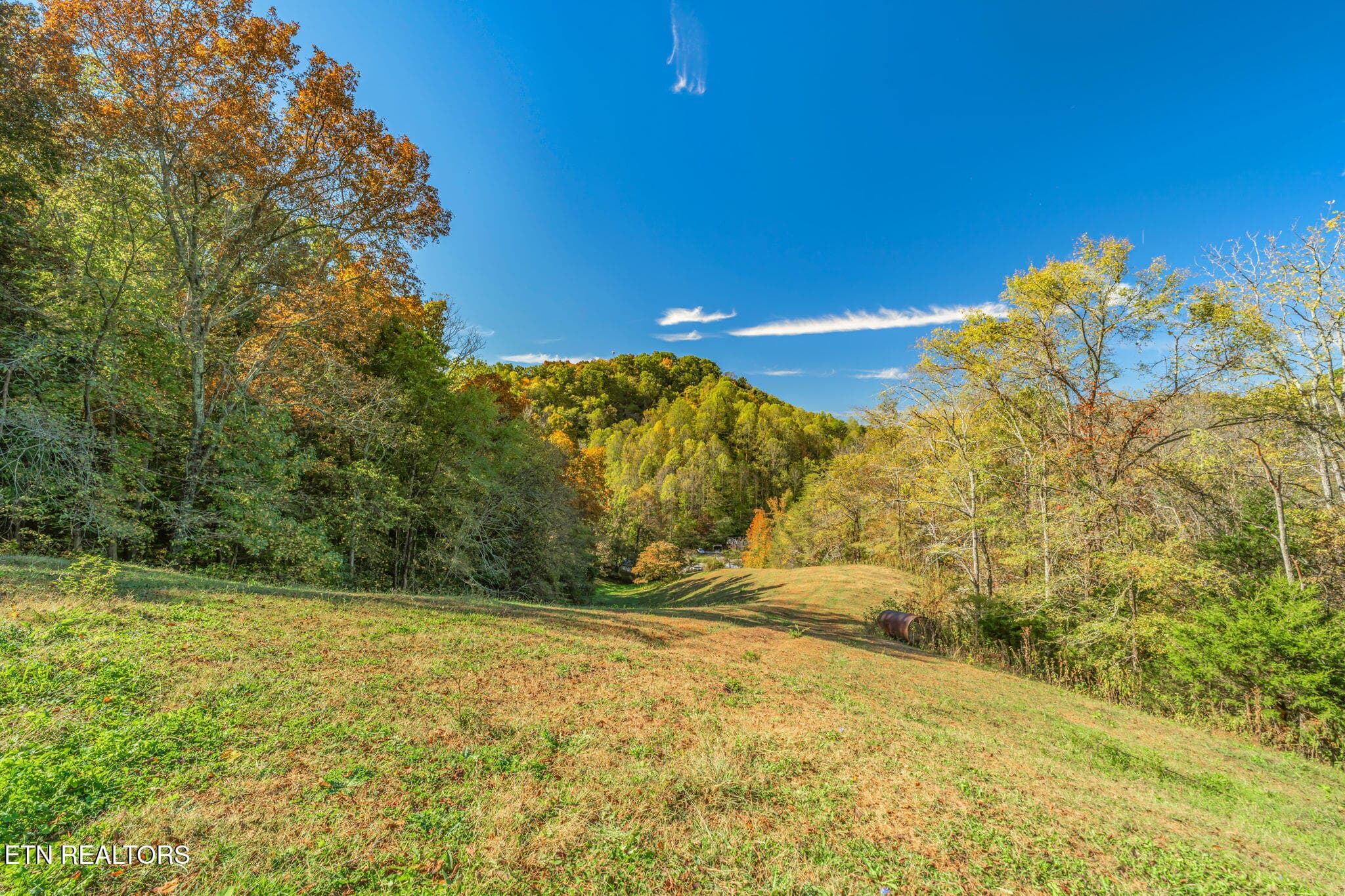 40-web-or-mls-858 N. Shiloh Road-32 - 858 N Shiloh Rd, Seymour, TN 37865