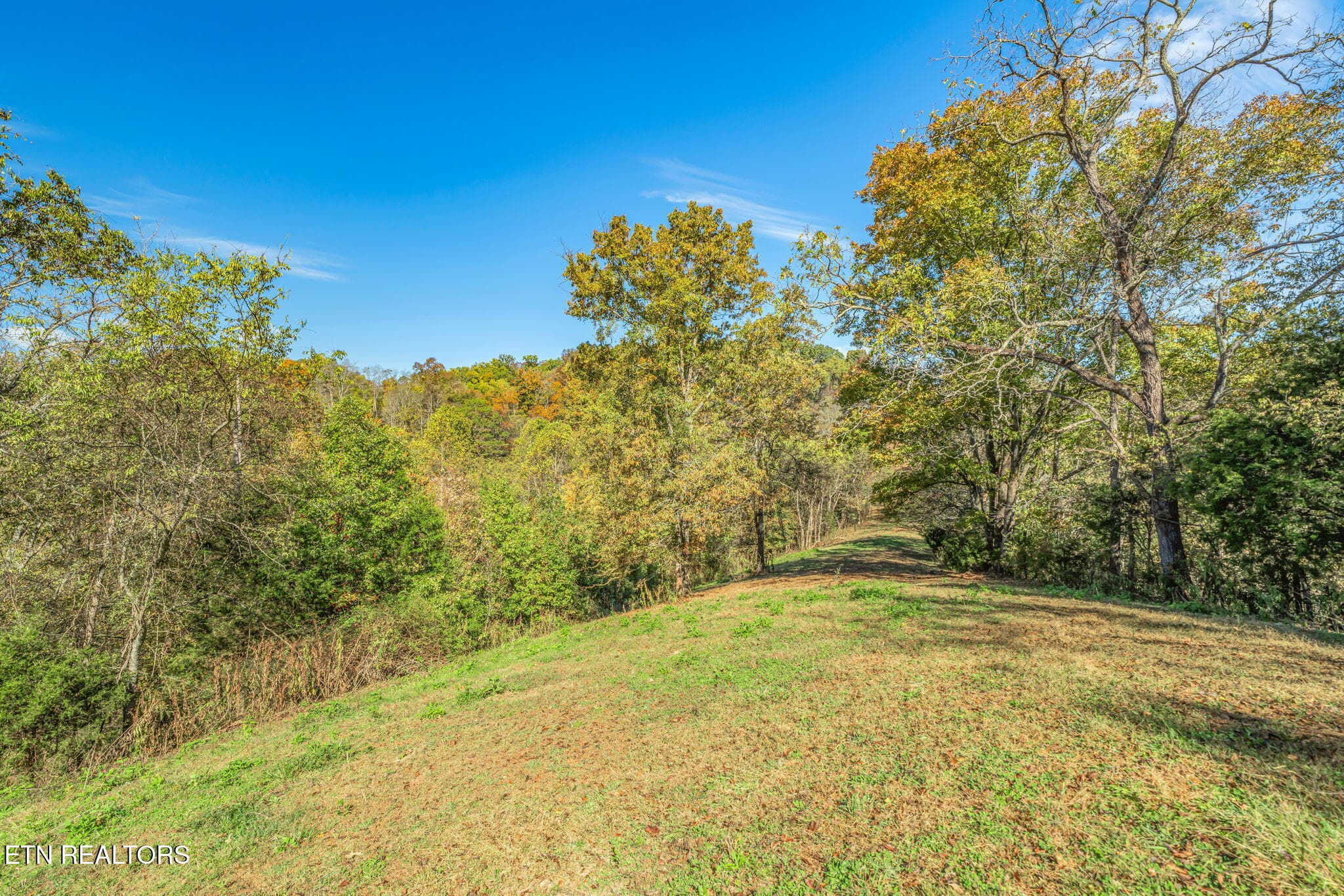 41-web-or-mls-858 N. Shiloh Road-33 - 858 N Shiloh Rd, Seymour, TN 37865