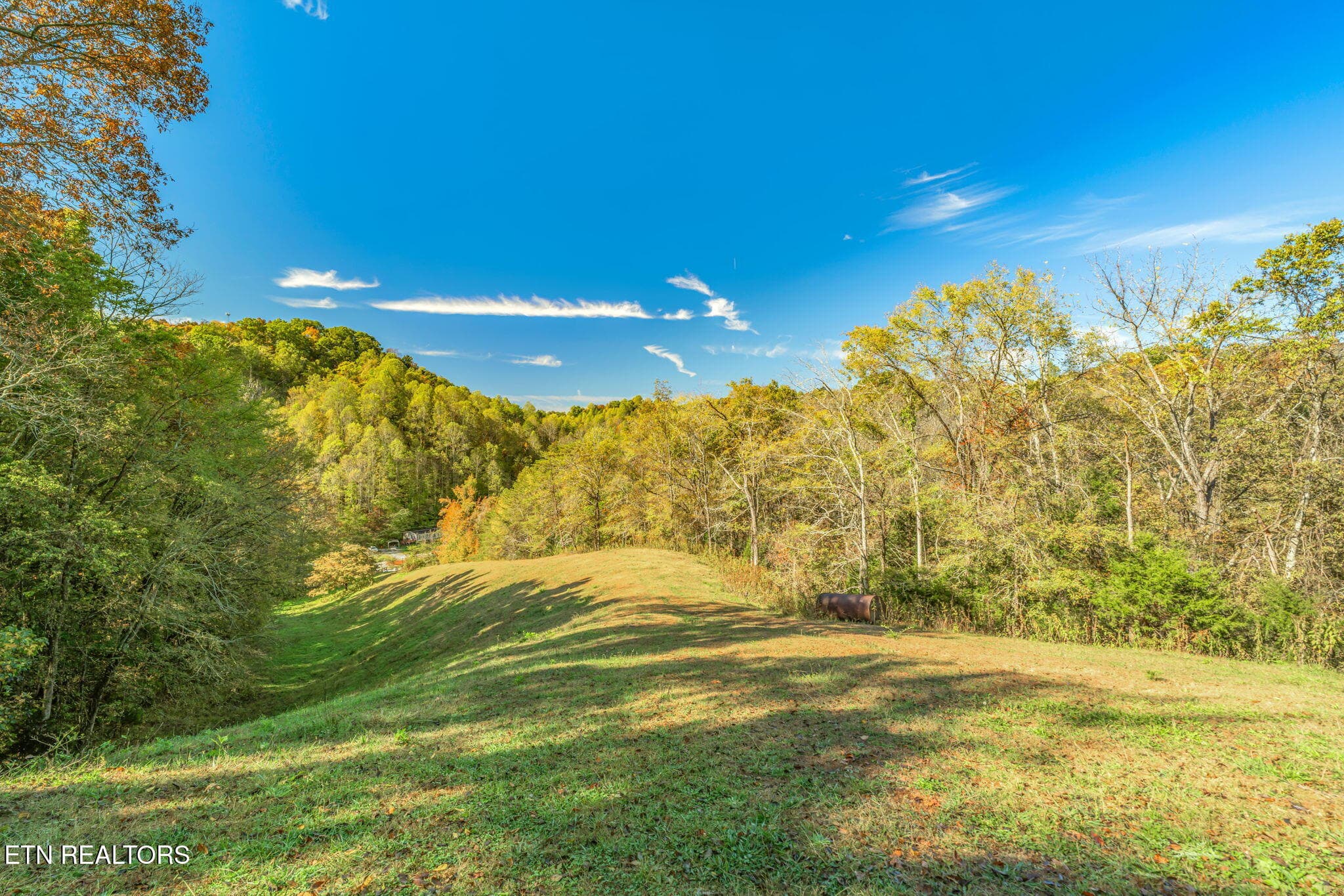42-web-or-mls-858 N. Shiloh Road-34 - 858 N Shiloh Rd, Seymour, TN 37865