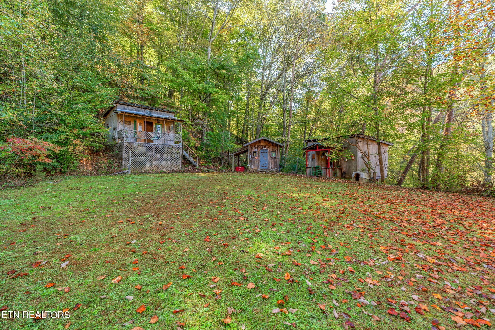 43-web-or-mls-858 N. Shiloh Road-35 - 858 N Shiloh Rd, Seymour, TN 37865