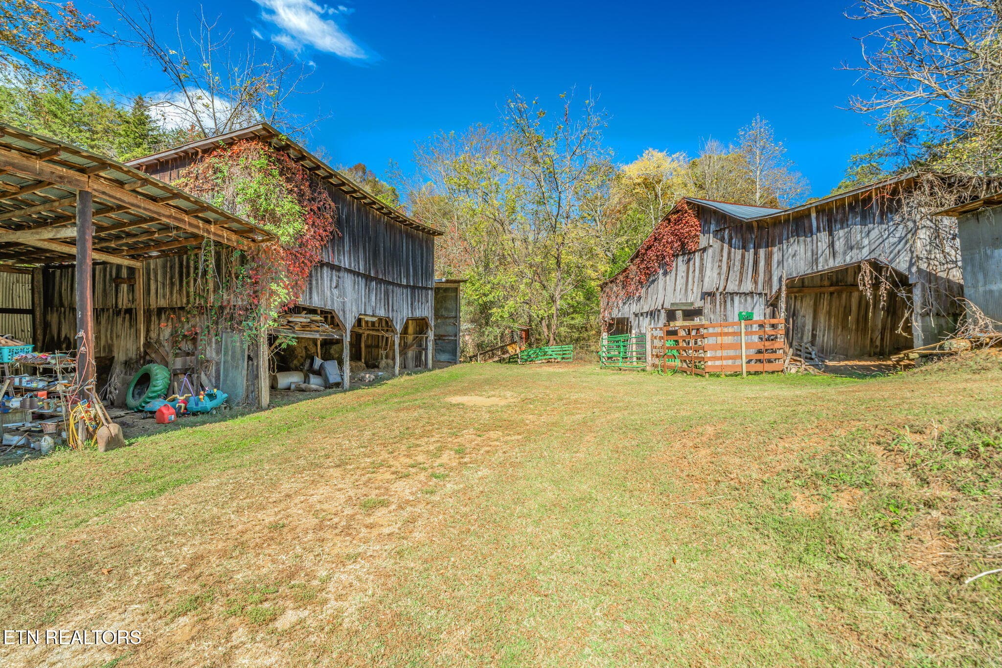 51-web-or-mls-858 N. Shiloh Road-49 - 858 N Shiloh Rd, Seymour, TN 37865