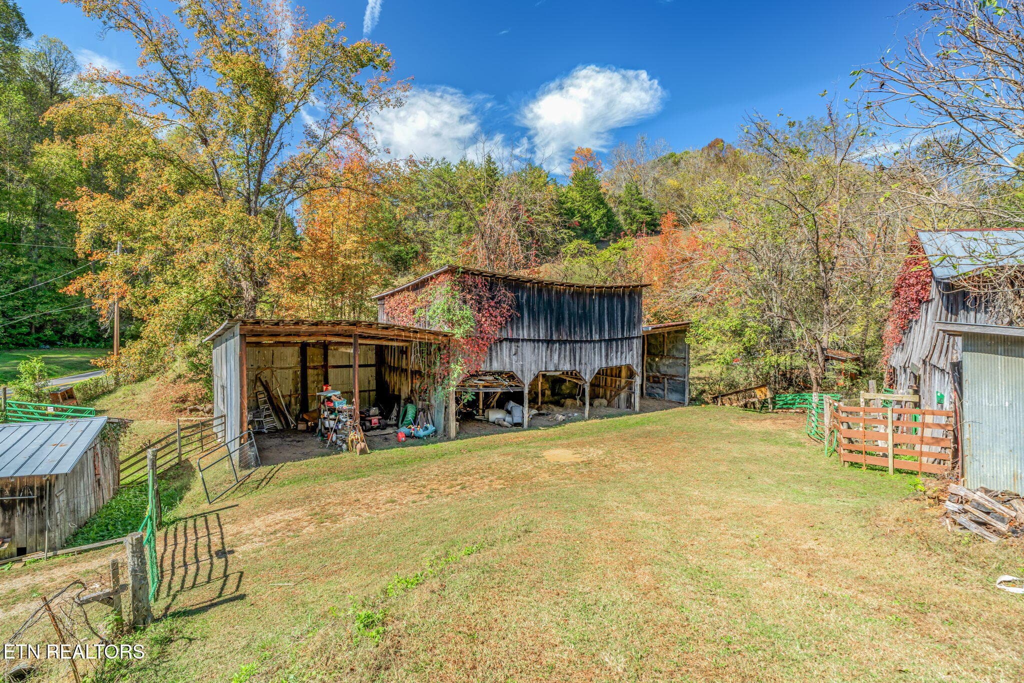55-web-or-mls-858 N. Shiloh Road-53 - 858 N Shiloh Rd, Seymour, TN 37865