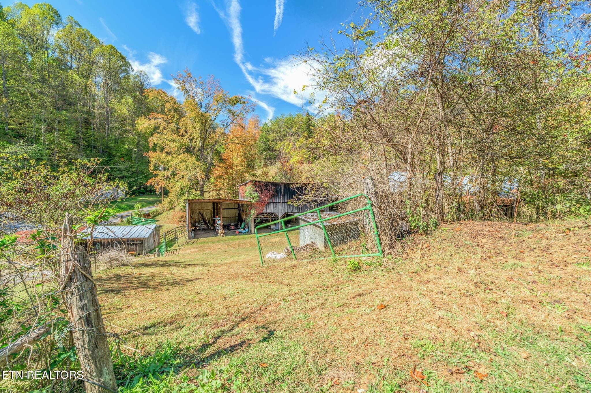 56-web-or-mls-858 N. Shiloh Road-54 - 858 N Shiloh Rd, Seymour, TN 37865