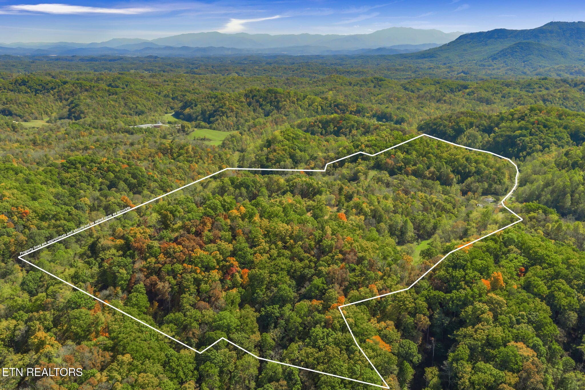 59-web-or-mls-858 N. Shiloh Road-81-1 - 858 N Shiloh Rd, Seymour, TN 37865