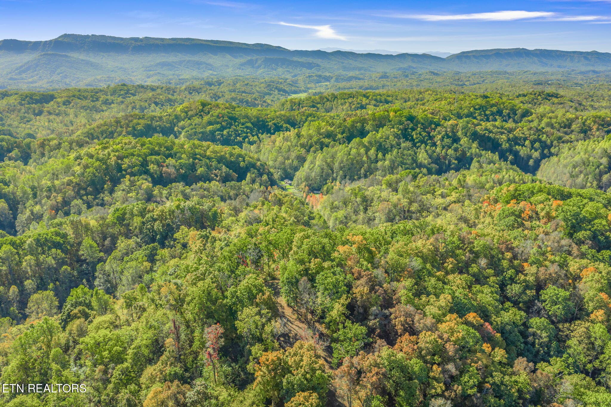 62-web-or-mls-858 N. Shiloh Road-59 - 858 N Shiloh Rd, Seymour, TN 37865