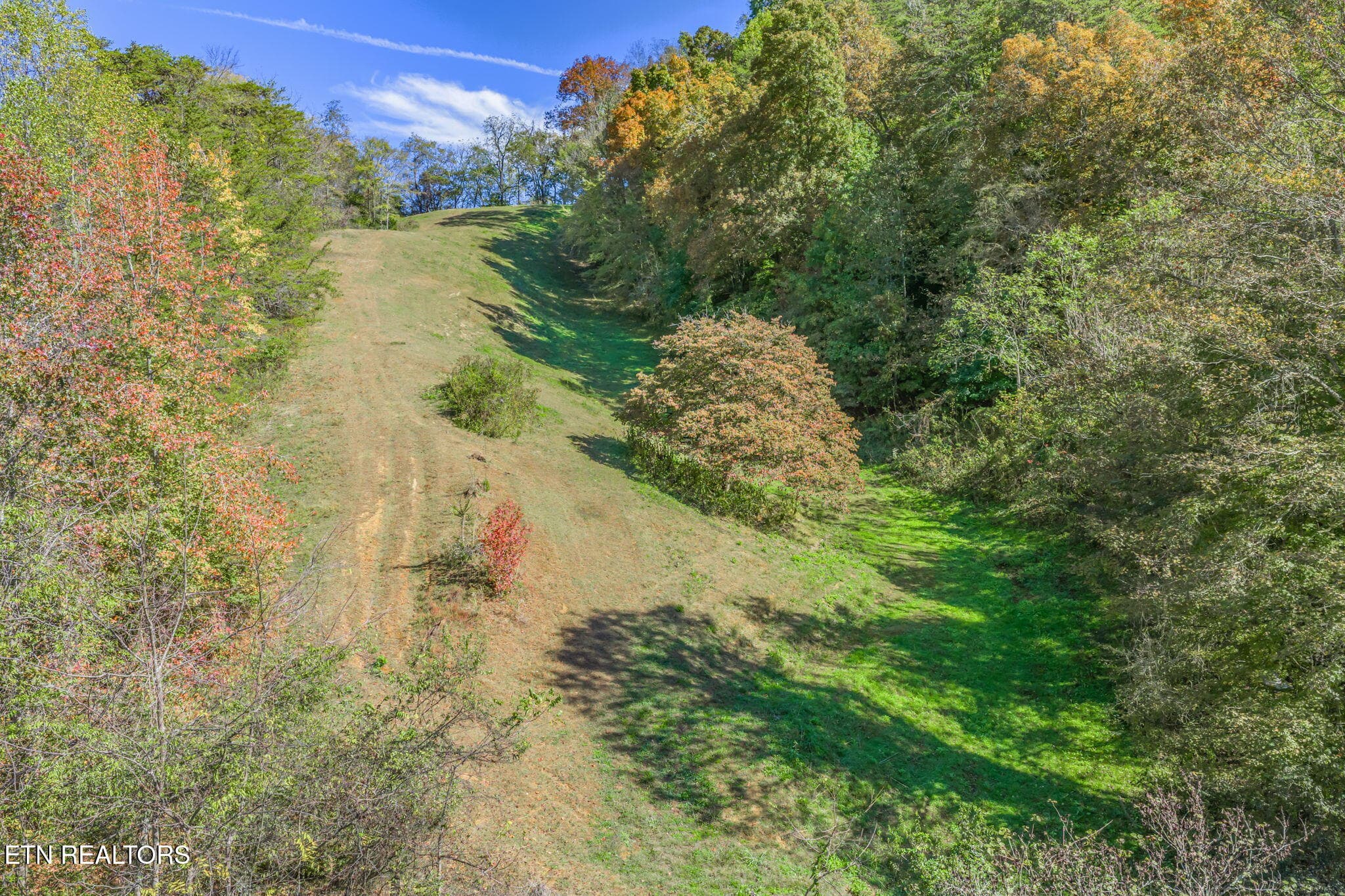 68-web-or-mls-858 N. Shiloh Road-66 - 858 N Shiloh Rd, Seymour, TN 37865