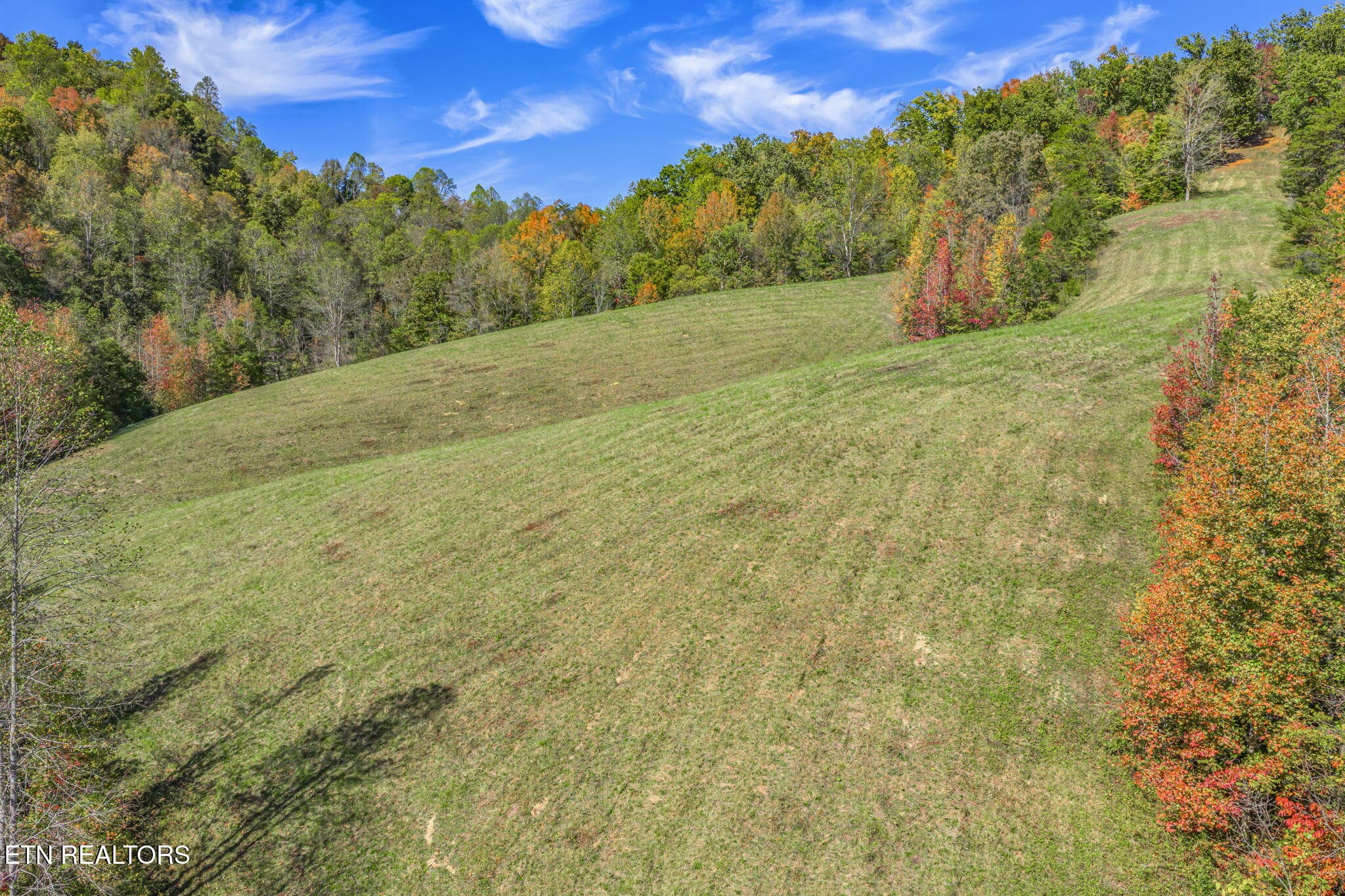 76-web-or-mls-858 N. Shiloh Road-74 - 858 N Shiloh Rd, Seymour, TN 37865