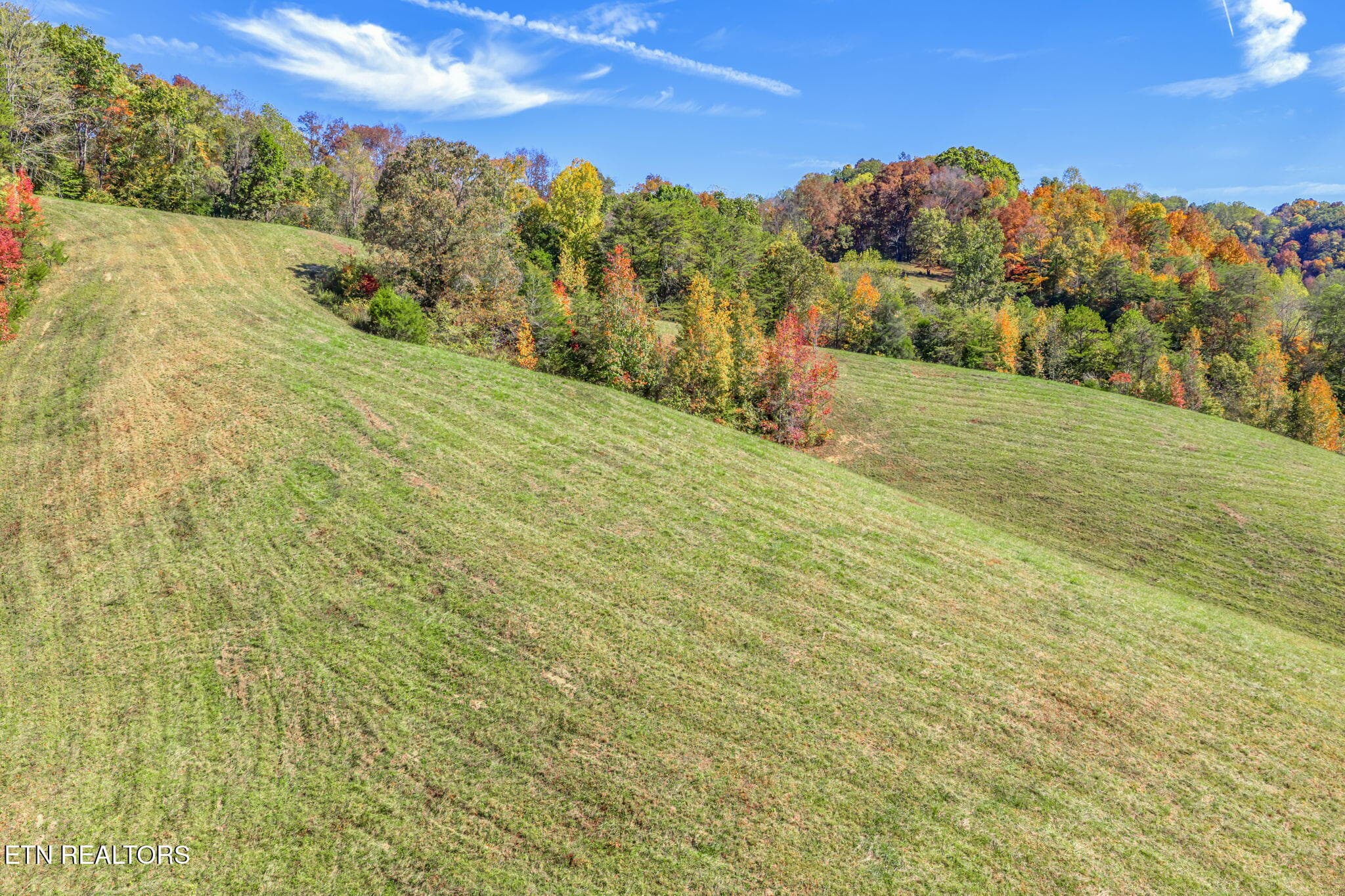 78-web-or-mls-858 N. Shiloh Road-76 - 858 N Shiloh Rd, Seymour, TN 37865