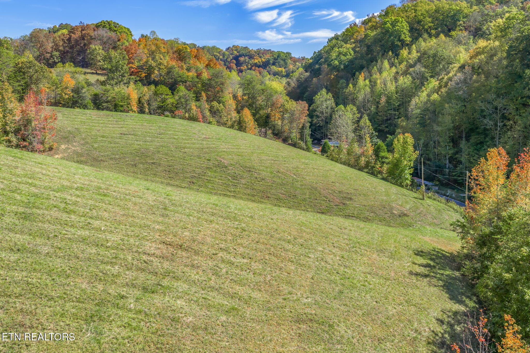 79-web-or-mls-858 N. Shiloh Road-77 - 858 N Shiloh Rd, Seymour, TN 37865