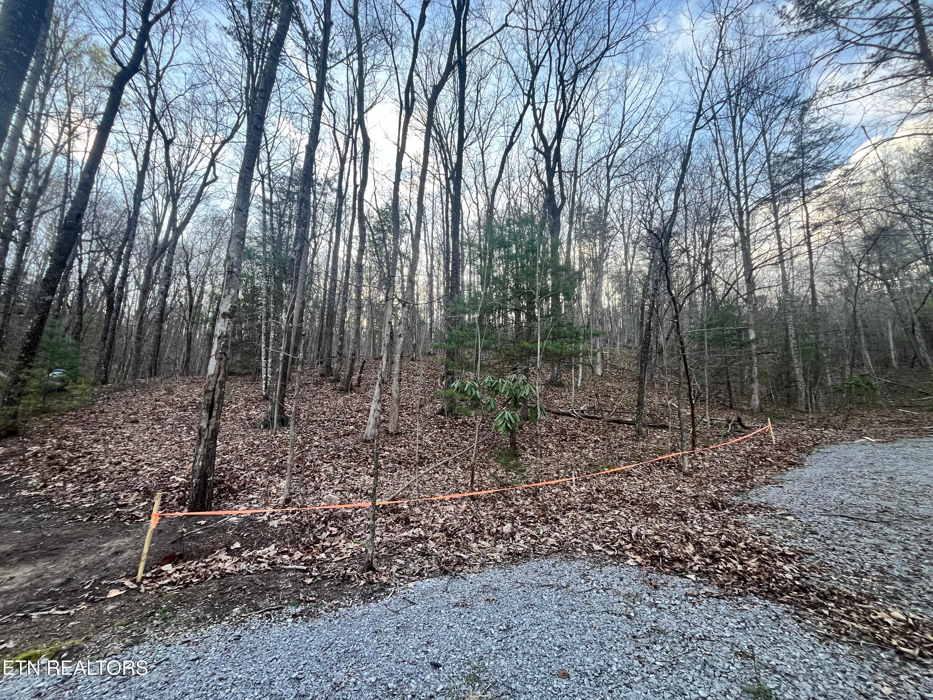 6871 Holiday Drive, Tallassee, TN 37878
