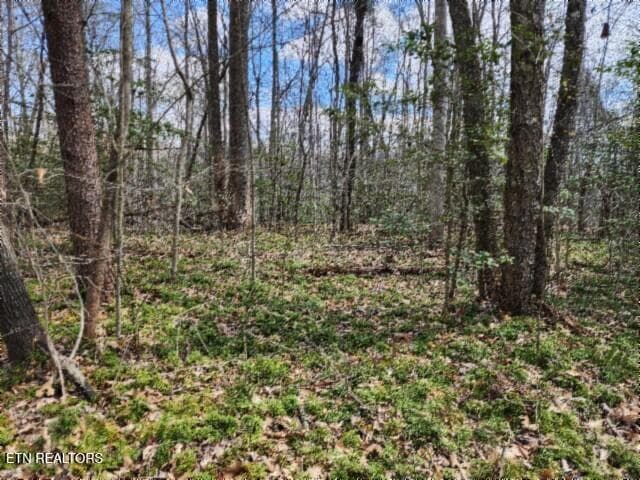 10.79ac S/O Buffalo Rd Rd, Oneida, TN 37841