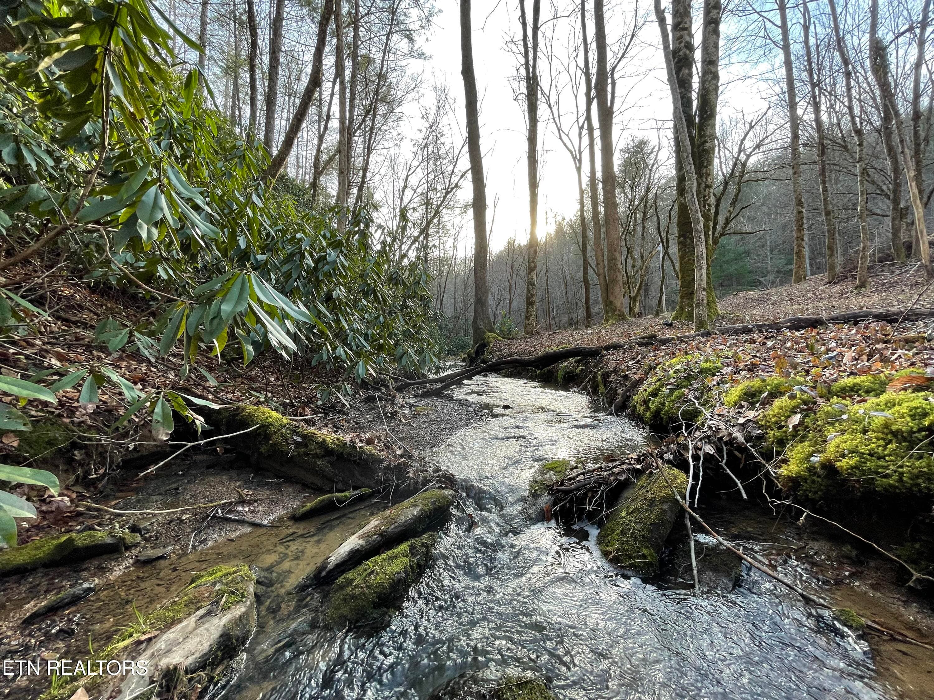 Creek - 915 Newcombe Branch Way, Cosby, TN 37722