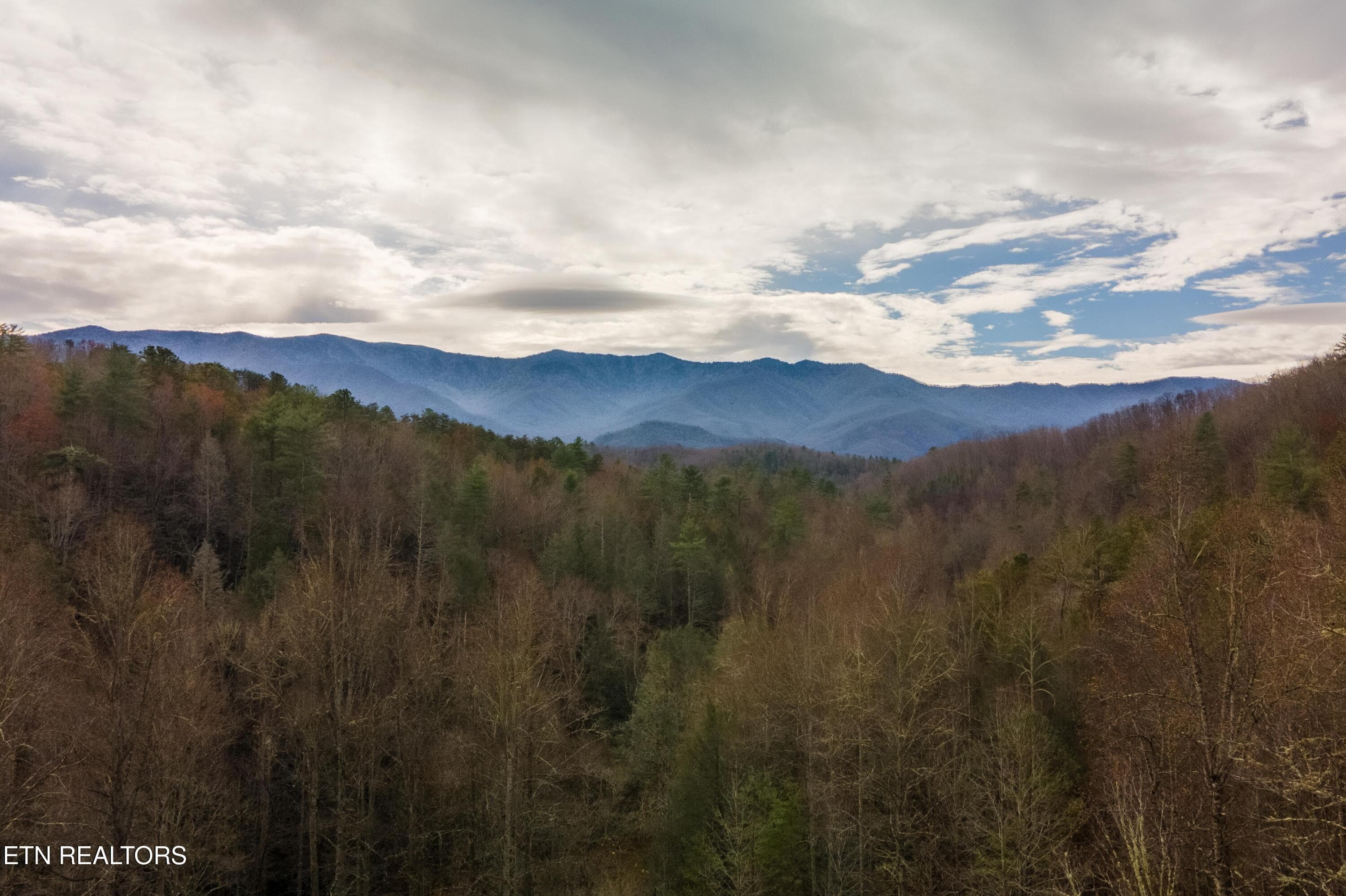 DJI_0286-HDR - 915 Newcombe Branch Way, Cosby, TN 37722