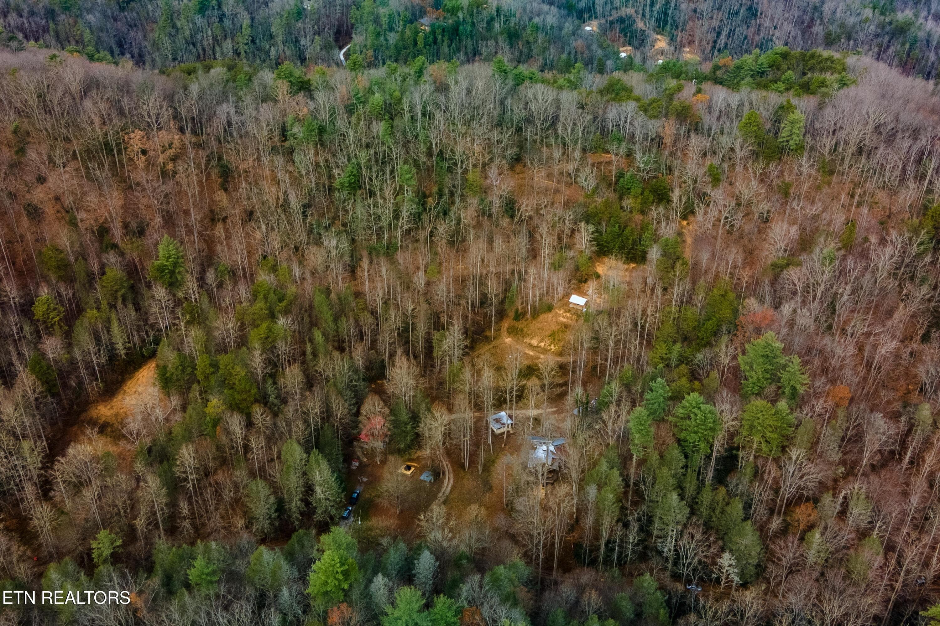 DJI_0326-HDR - 915 Newcombe Branch Way, Cosby, TN 37722