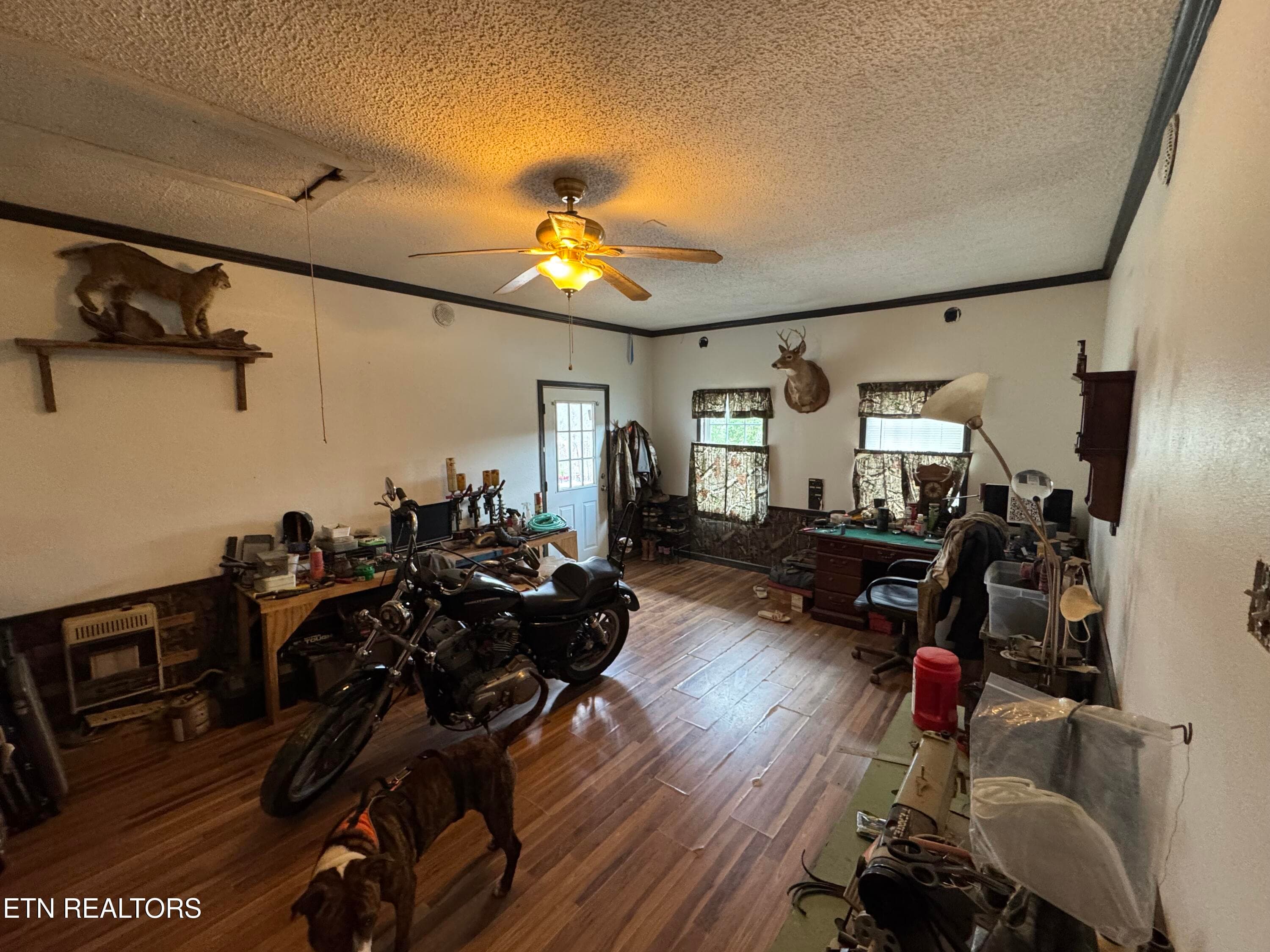 IMG_3137 - 2502 Huntsville Hill Rd, Helenwood, TN 37755